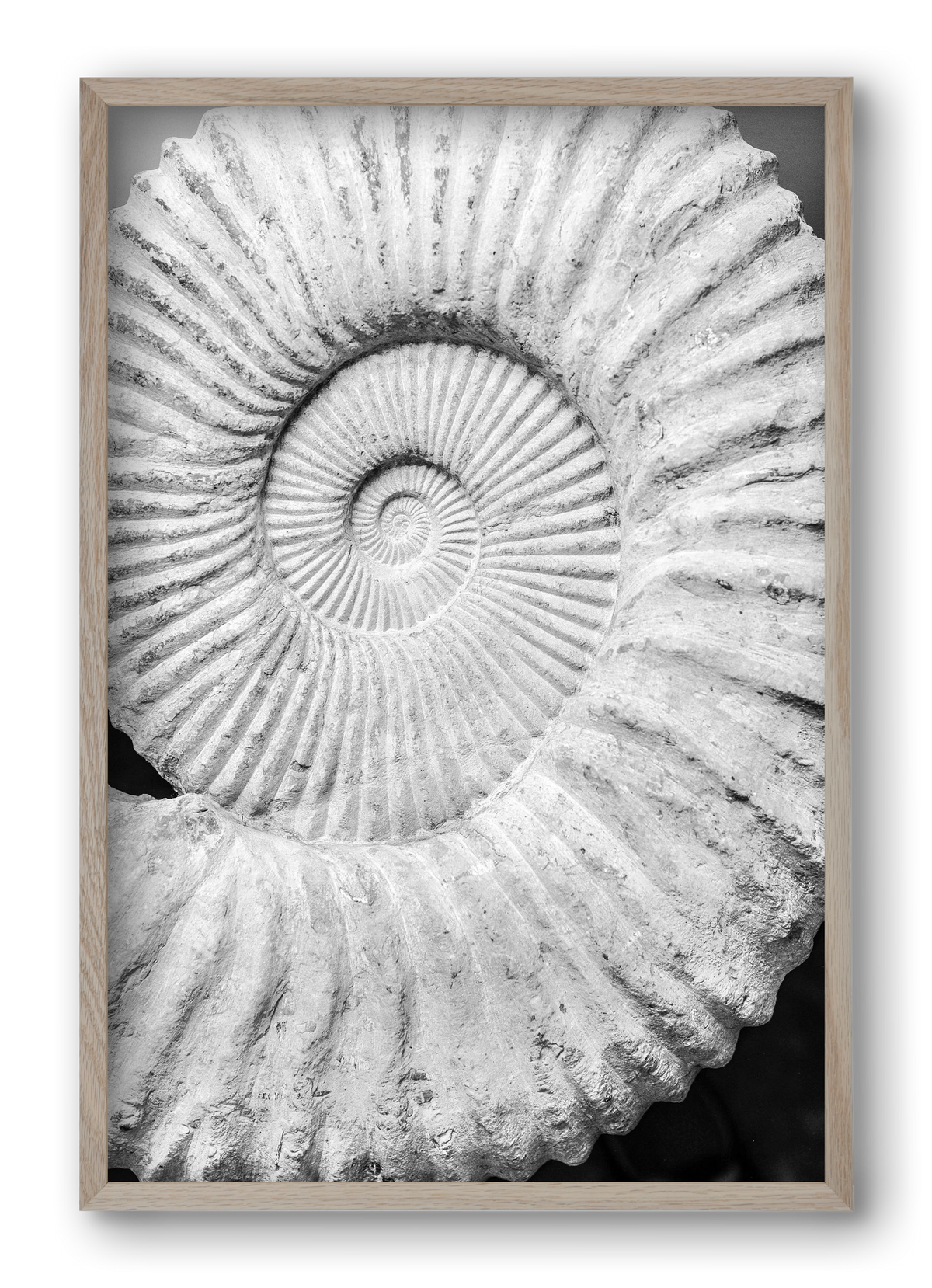 Formula, 40x60 cm (40x60 cm), Tölgy keret