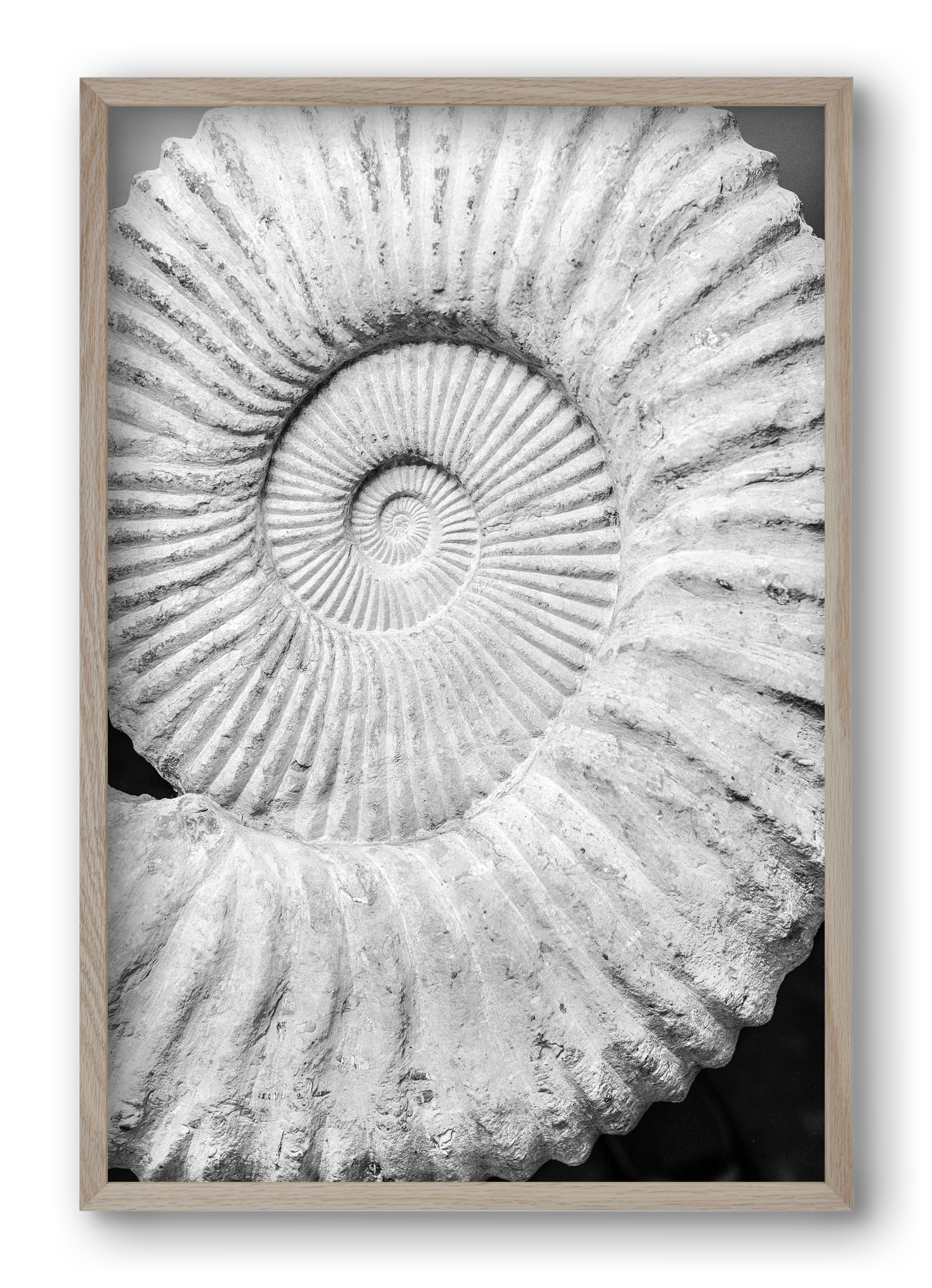 Formula, 40x60 cm (40x60 cm), Tölgy keret