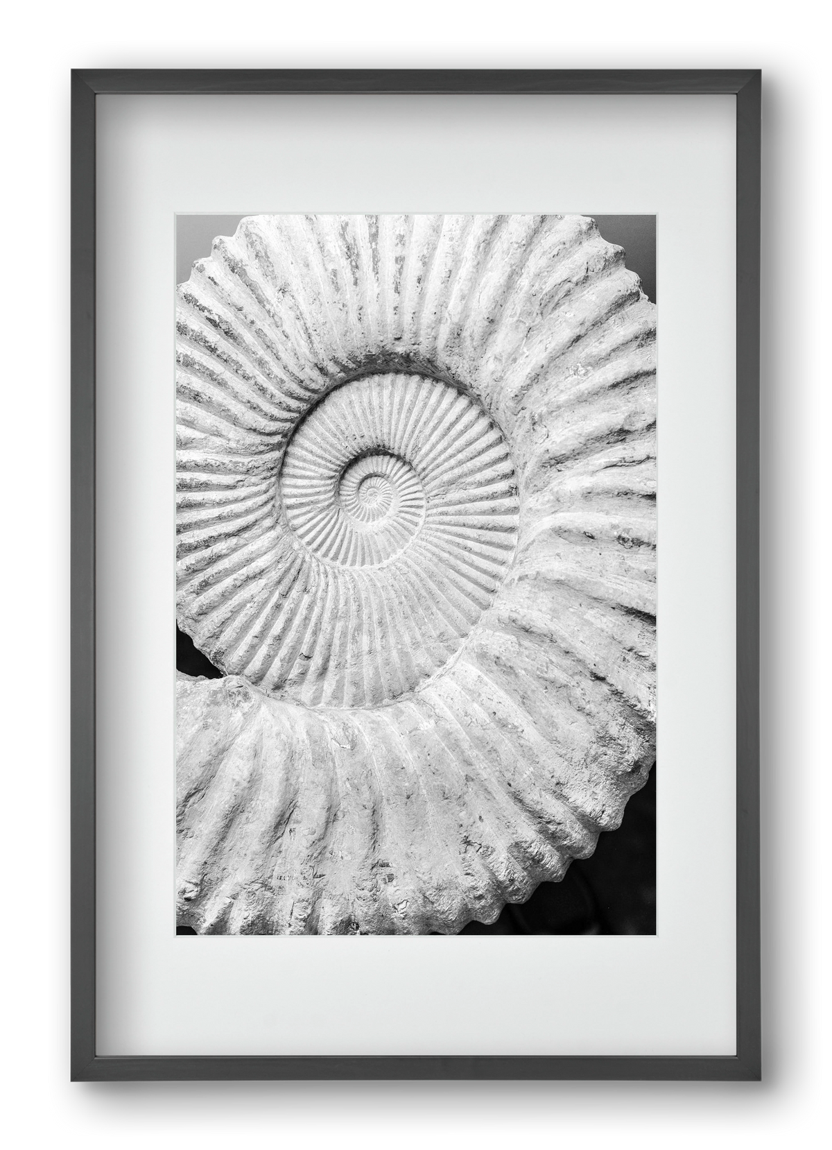 Formula, 40x60 cm (30x45 cm), Fekete keret, paszpartuval