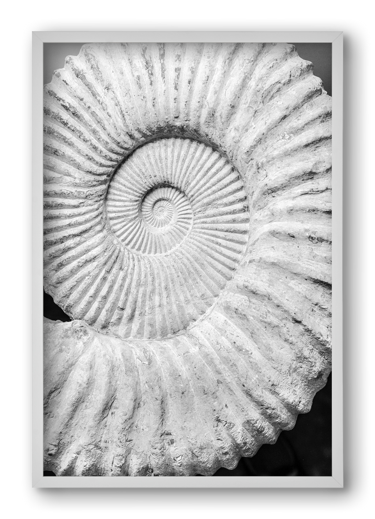 Formula, 40x60 cm (40x60 cm), Fehér keret