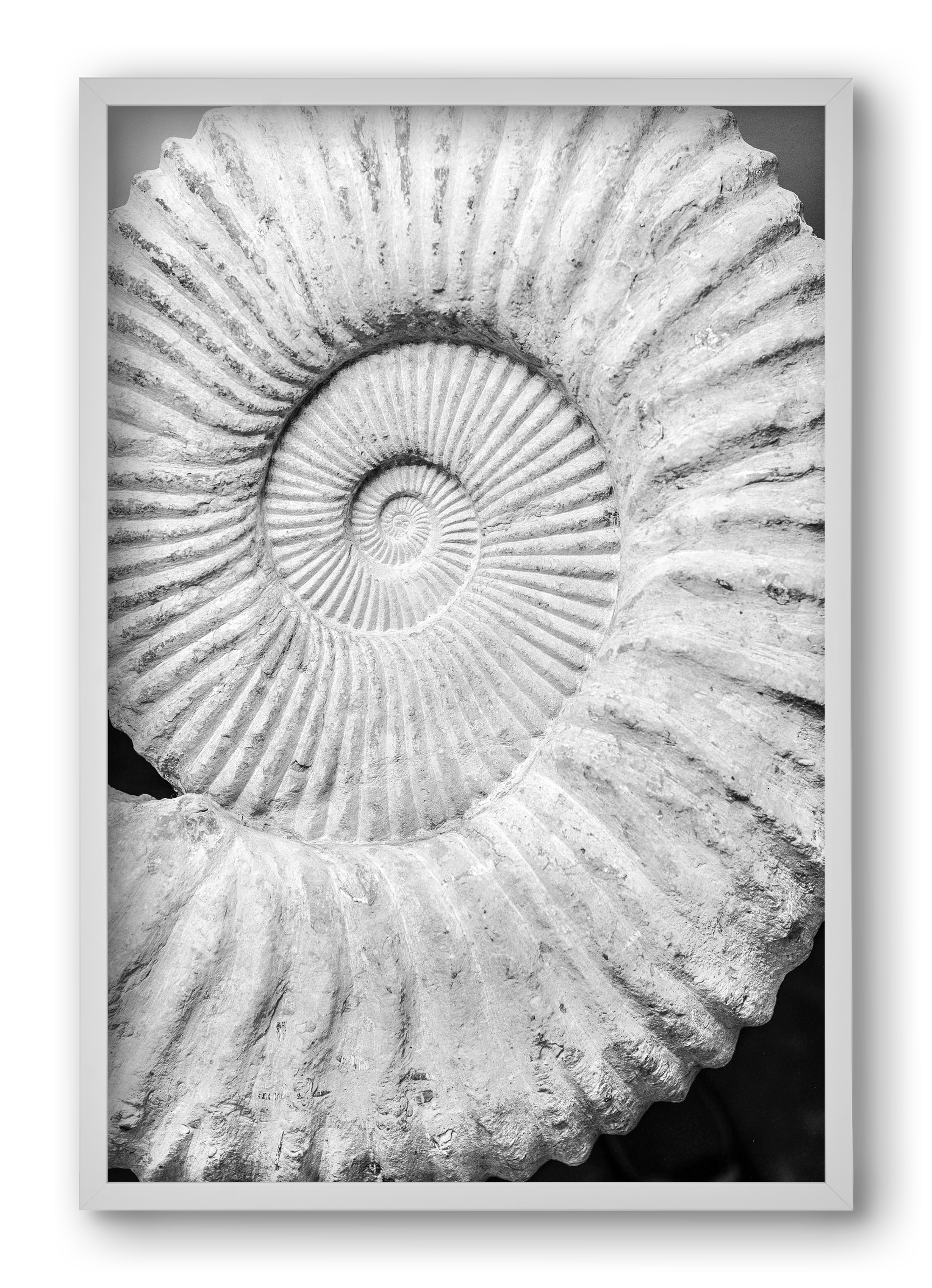 Formula, 40x60 cm (40x60 cm), Fehér keret