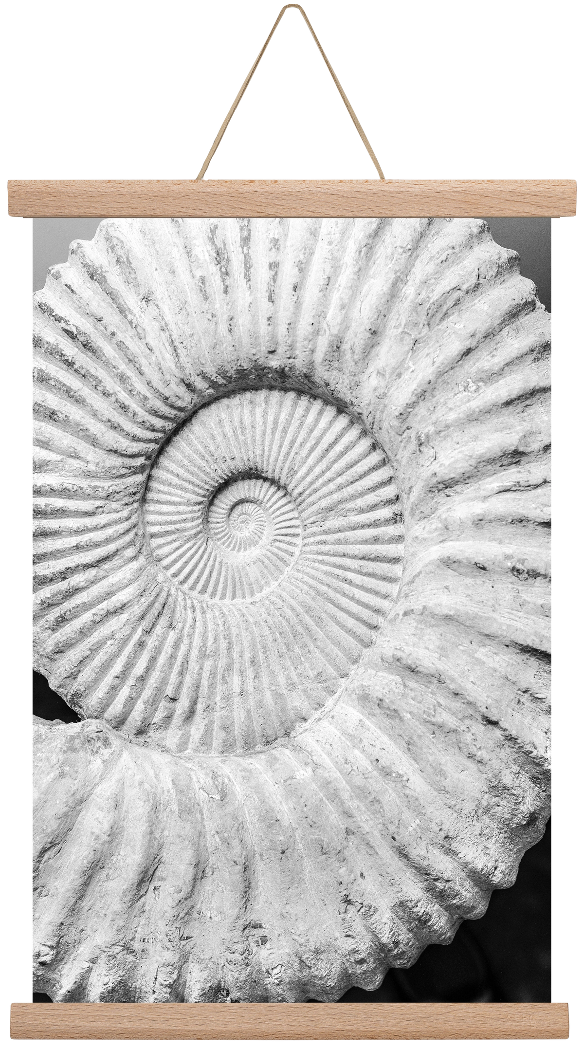 Formula, 30x45 cm (30x45 cm), Tölgy akasztó