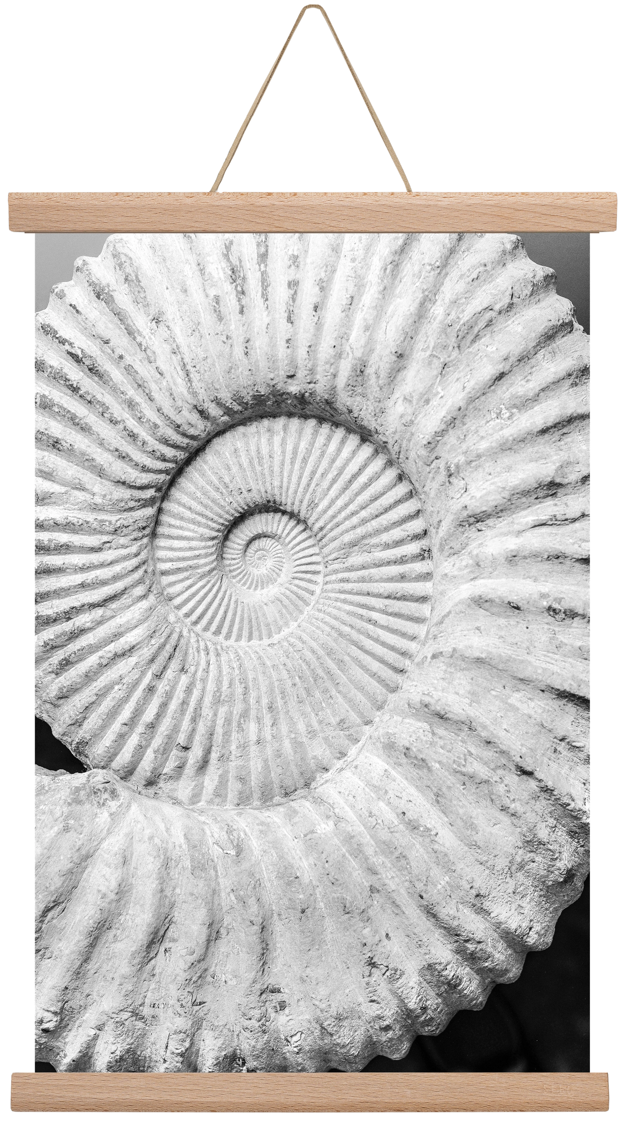 Formula, 30x45 cm (30x45 cm), Tölgy akasztó