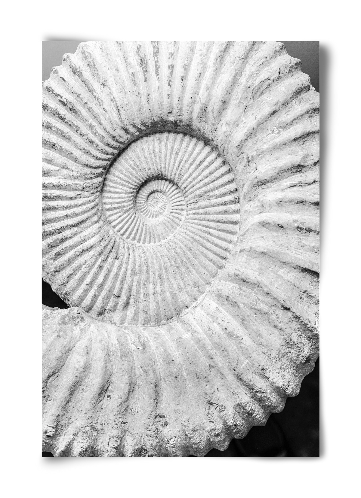 Formula, 40x60 cm, Keret nélkül