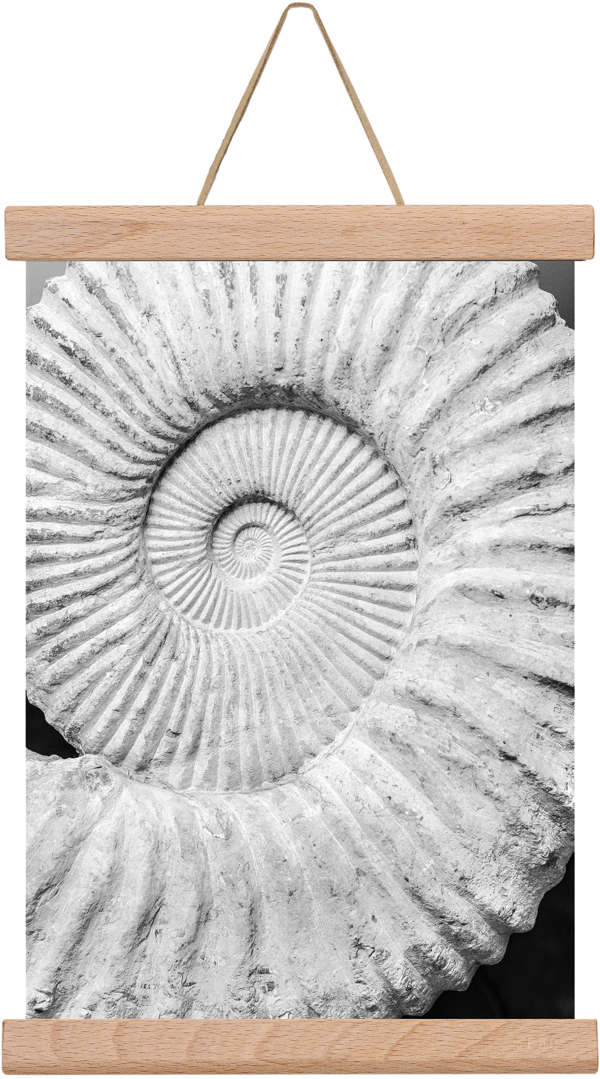 Formula, 20x30 cm (20x30 cm), Tölgy akasztó