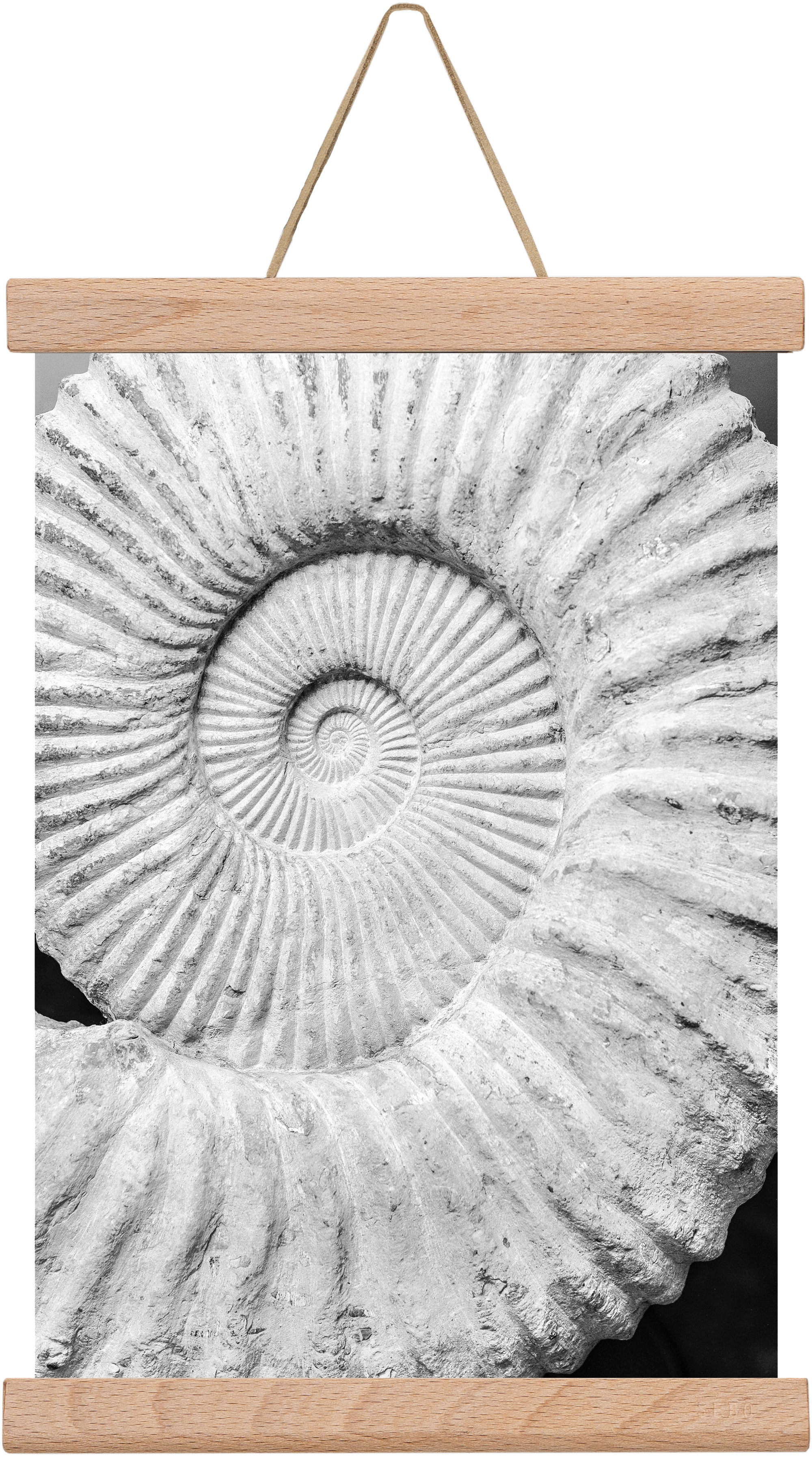 Formula, 20x30 cm (20x30 cm), Tölgy akasztó