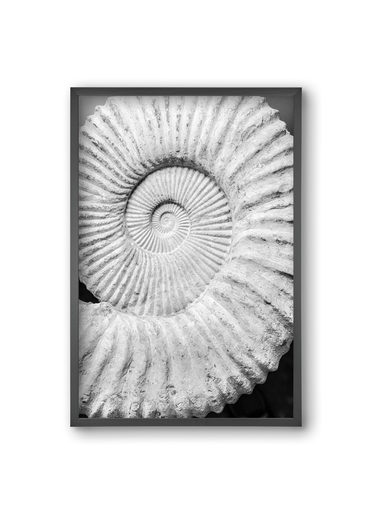 Formula, 20x30 cm (20x30 cm), Fekete keret