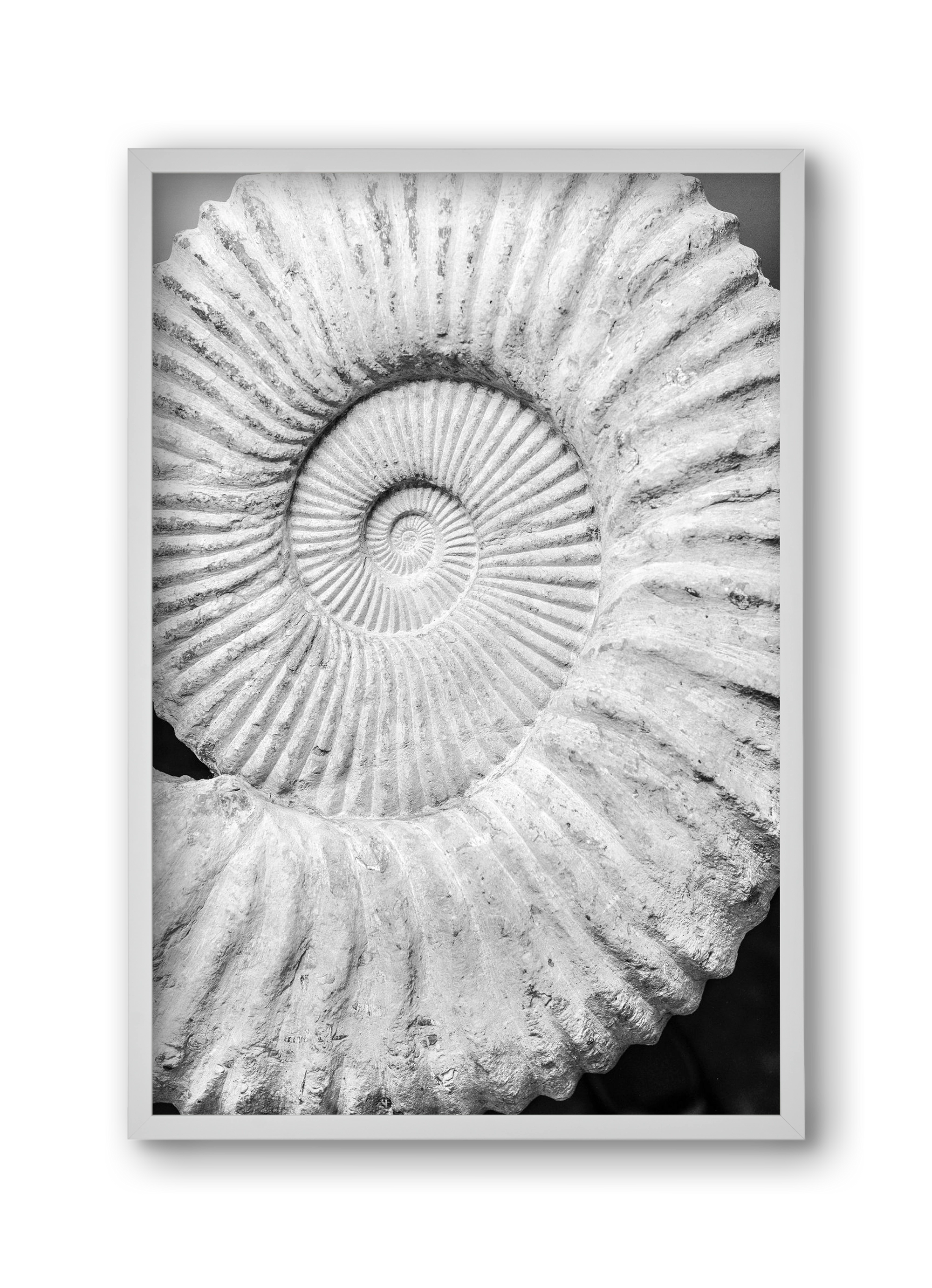 Formula, 30x45 cm (30x45 cm), Fehér keret