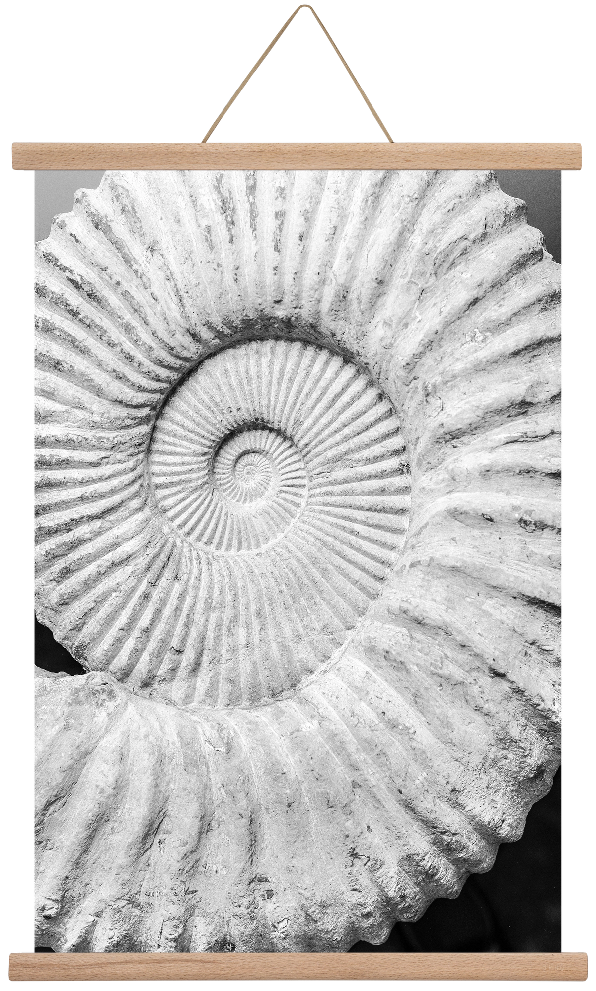 Formula, 40x60 cm (40x60 cm), Tölgy akasztó