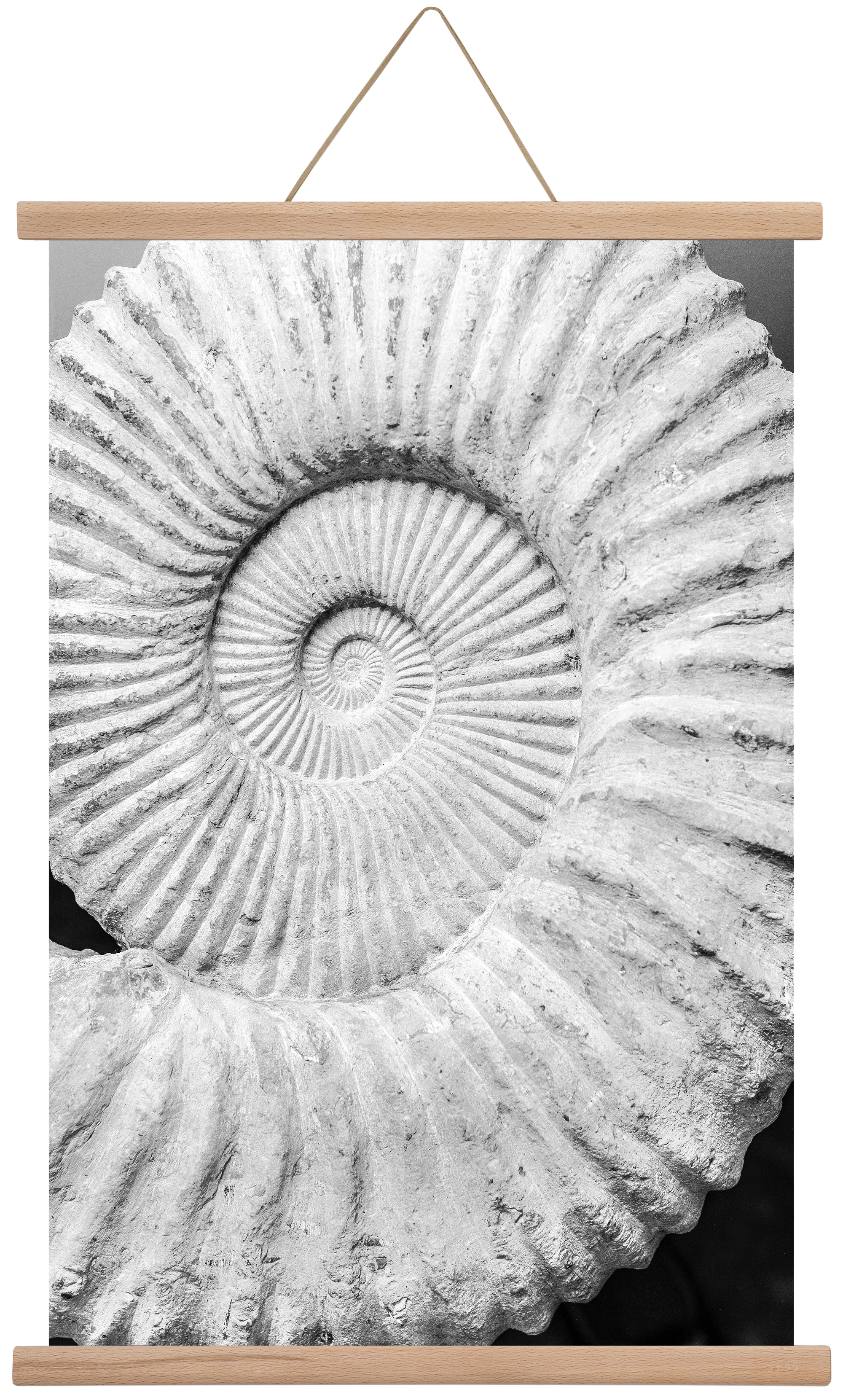 Formula, 40x60 cm (40x60 cm), Tölgy akasztó