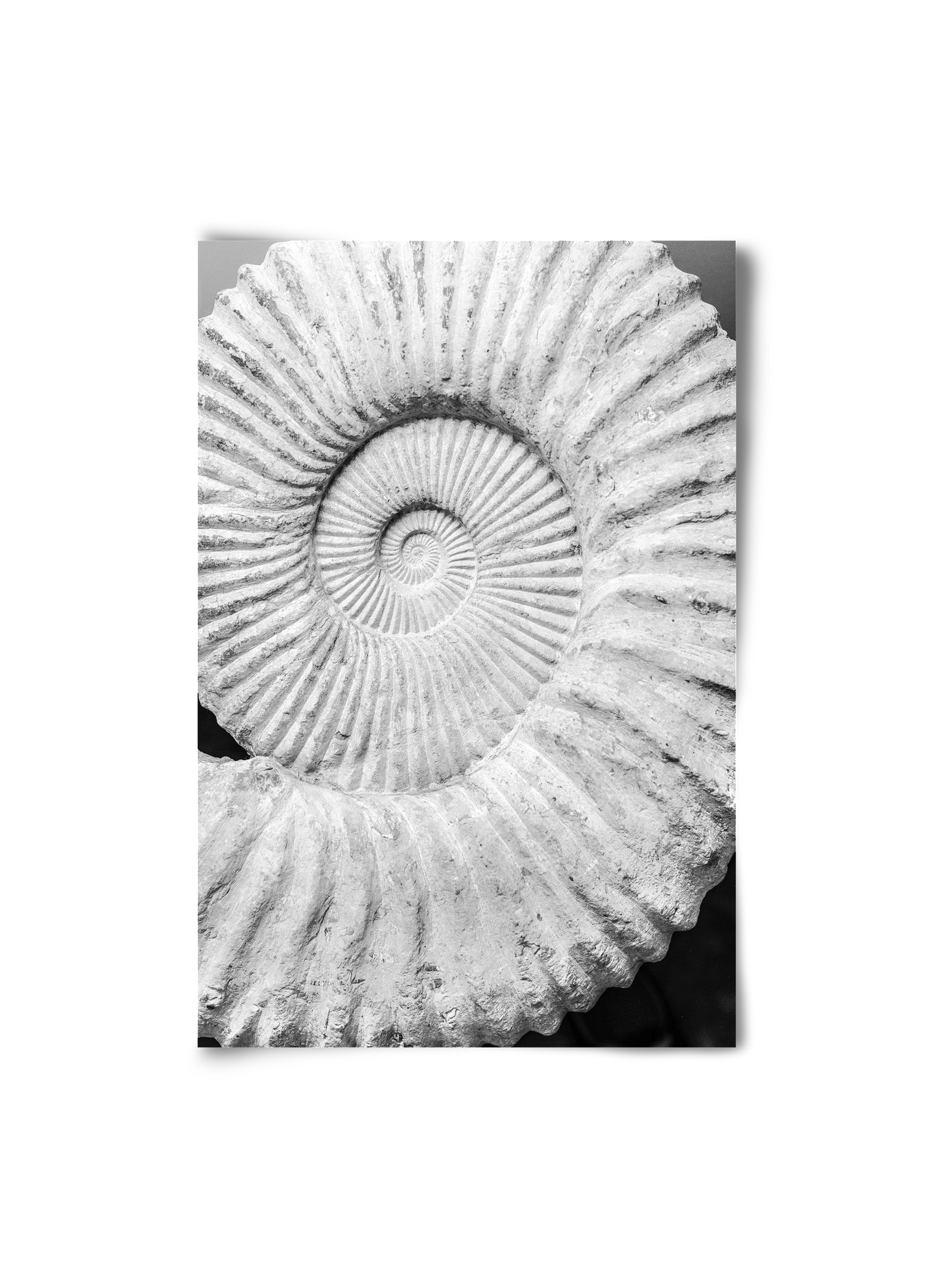 Formula, 20x30 cm, Keret nélkül