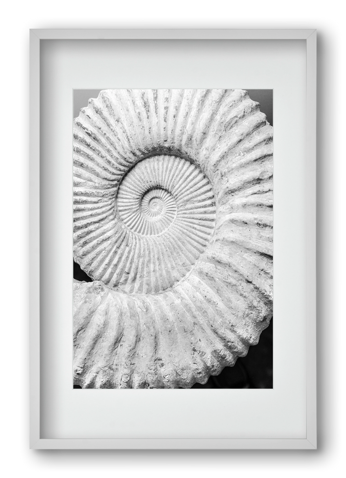 Formula, 40x60 cm (30x45 cm), Fehér keret, paszpartuval