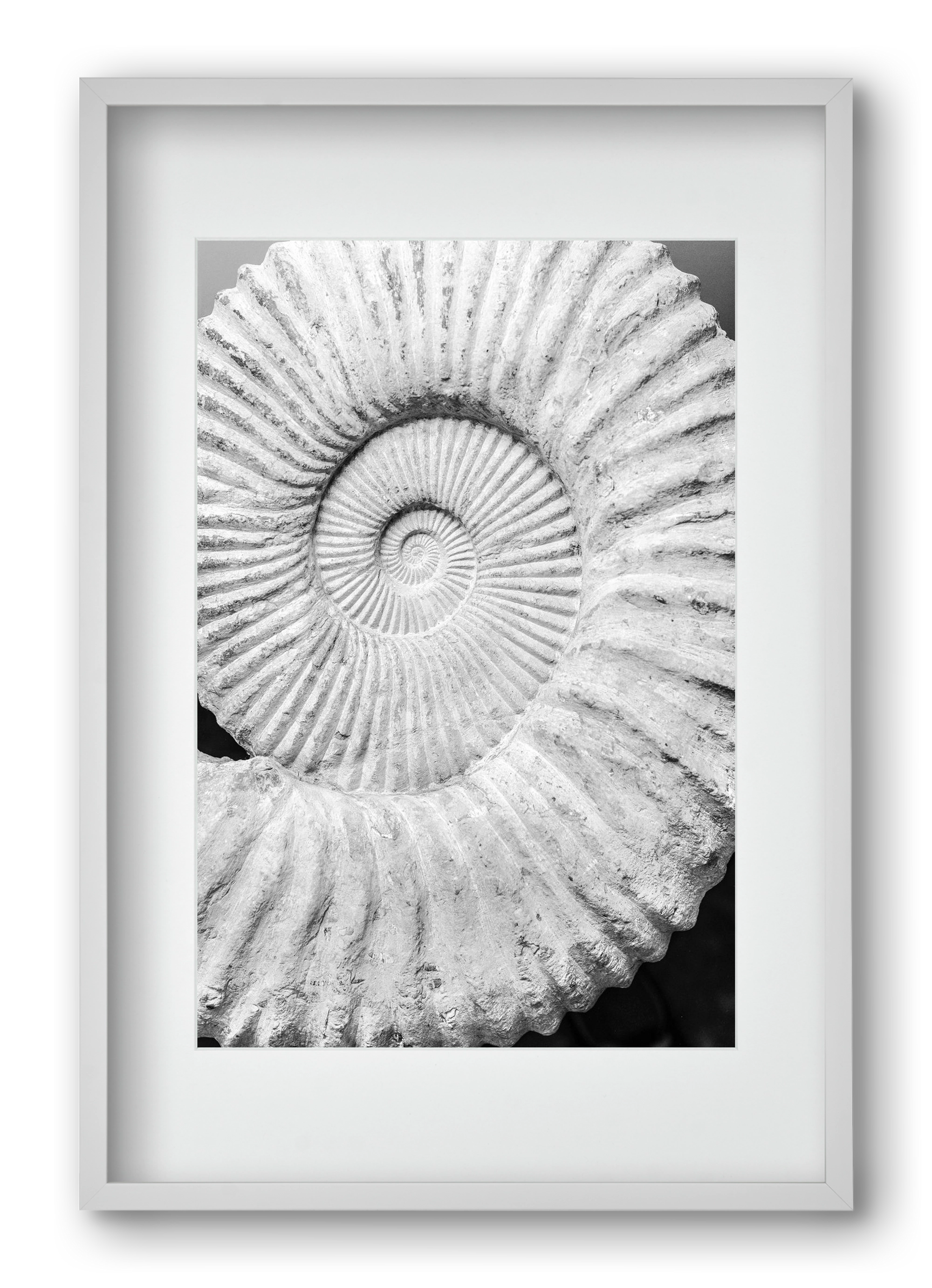 Formula, 40x60 cm (30x45 cm), Fehér keret, paszpartuval