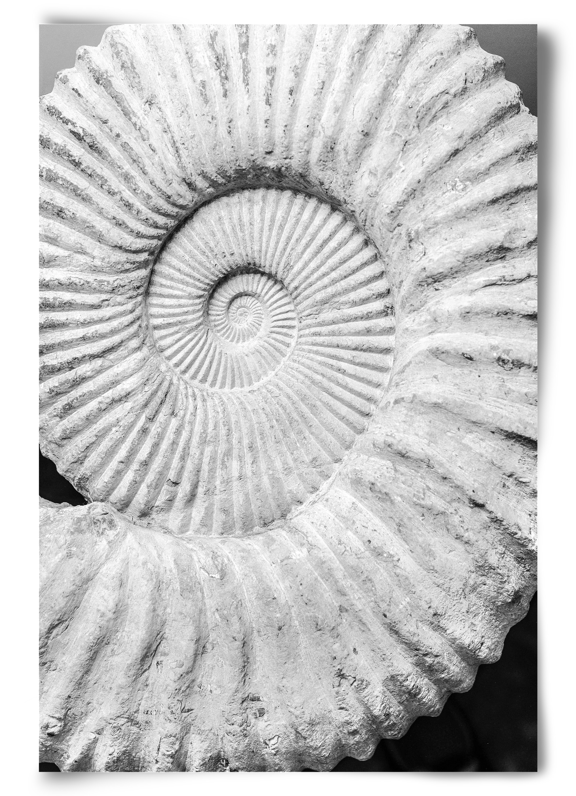 Formula, 60x90 cm, Keret nélkül