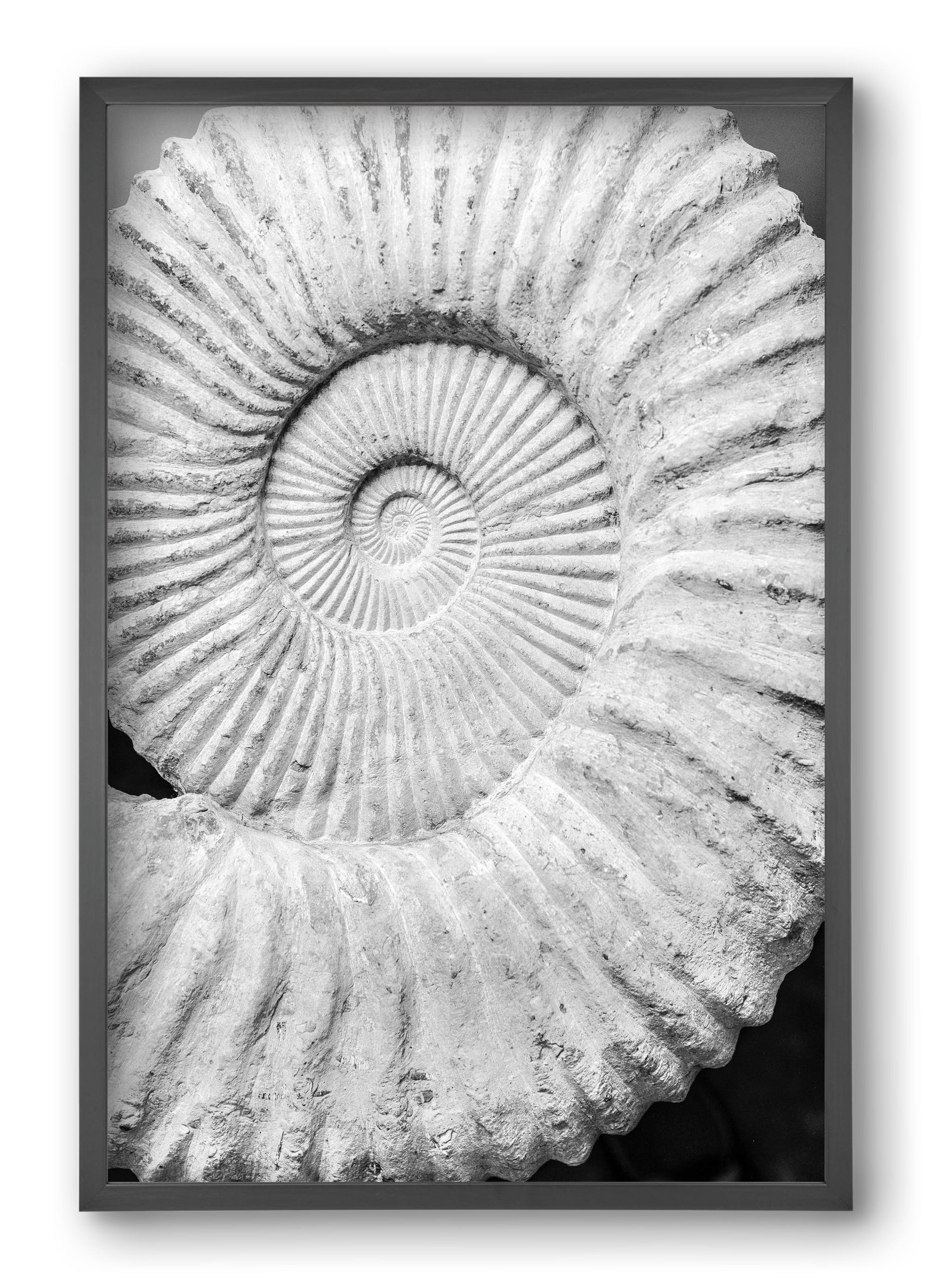 Formula, 40x60 cm (40x60 cm), Fekete keret