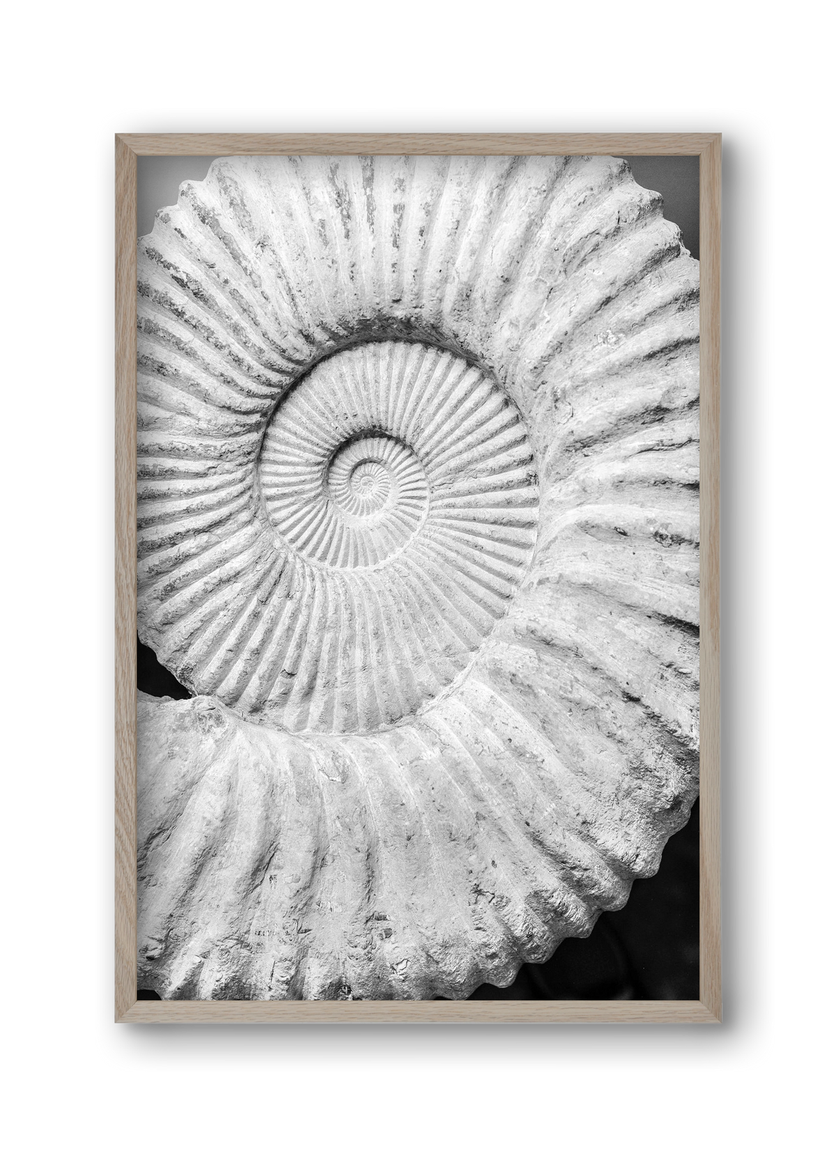 Formula, 30x45 cm (30x45 cm), Tölgy keret