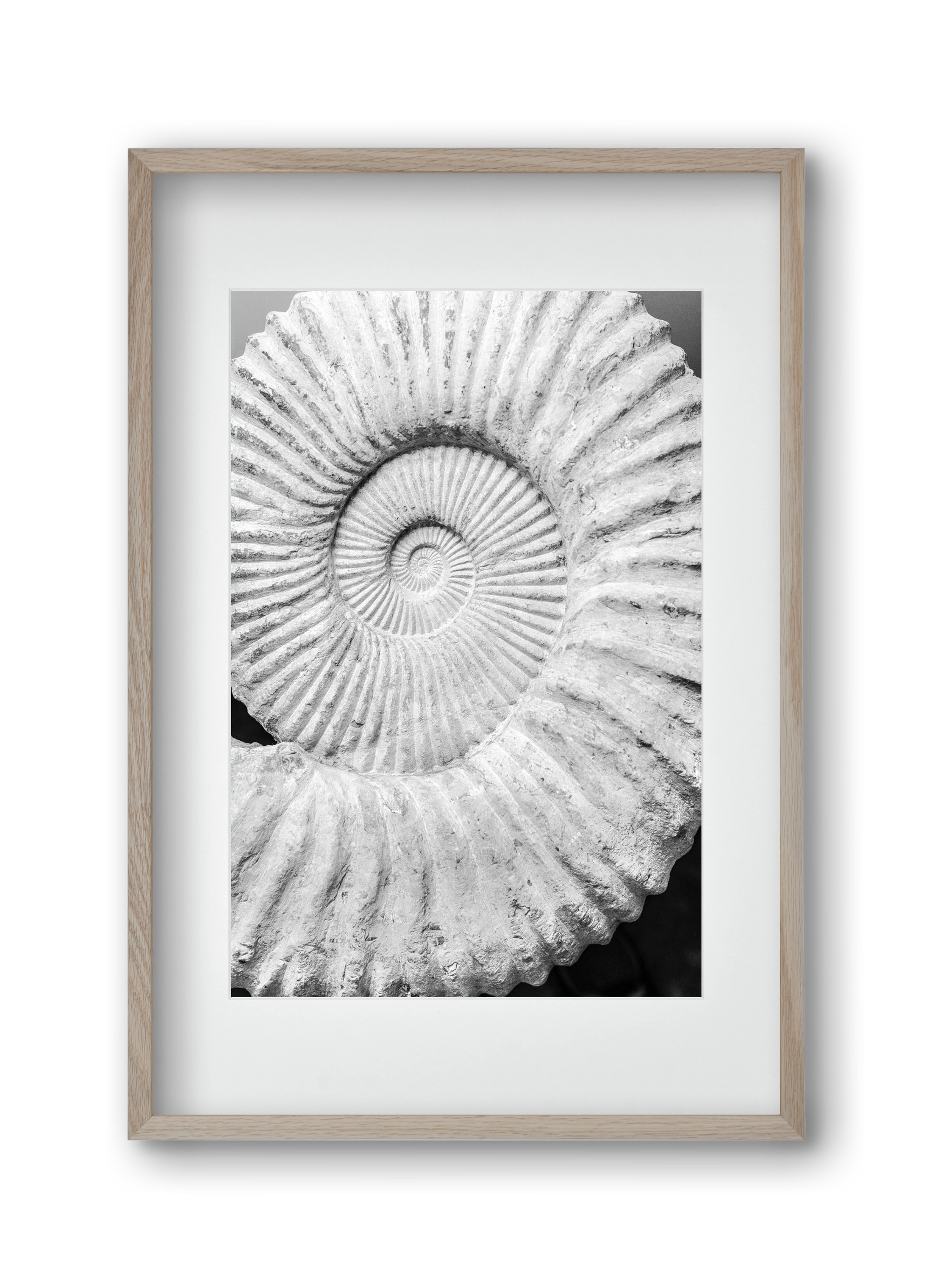 Formula, 30x45 cm (20x30 cm), Tölgy keret, paszpartuval