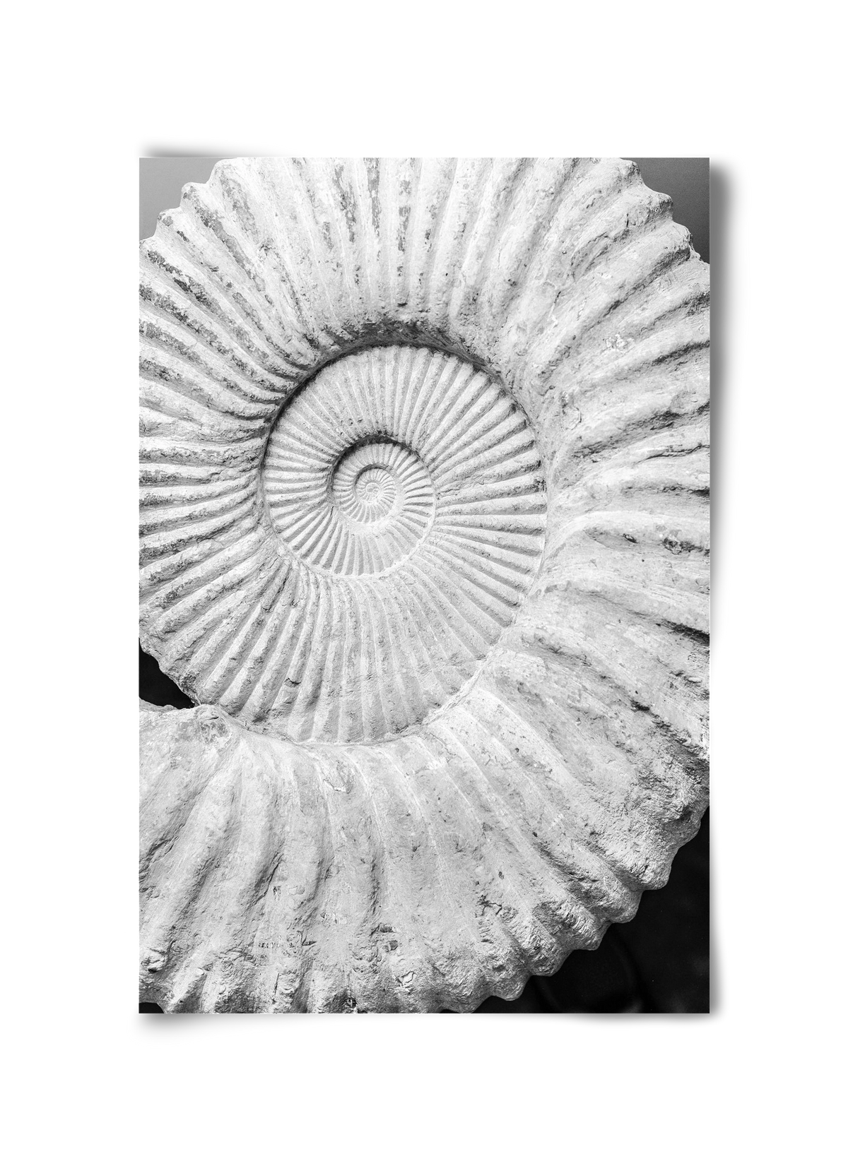 Formula, 30x45 cm, Keret nélkül