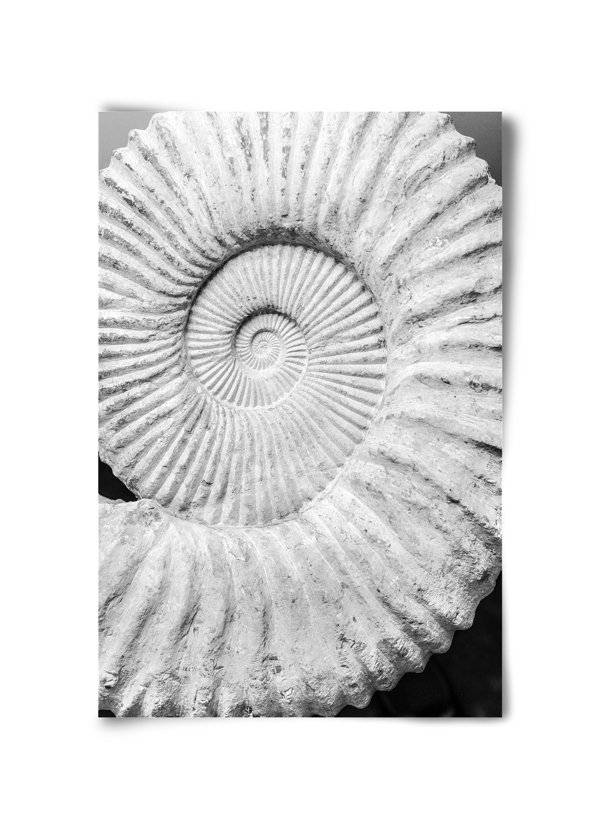 Formula, 30x45 cm, Keret nélkül