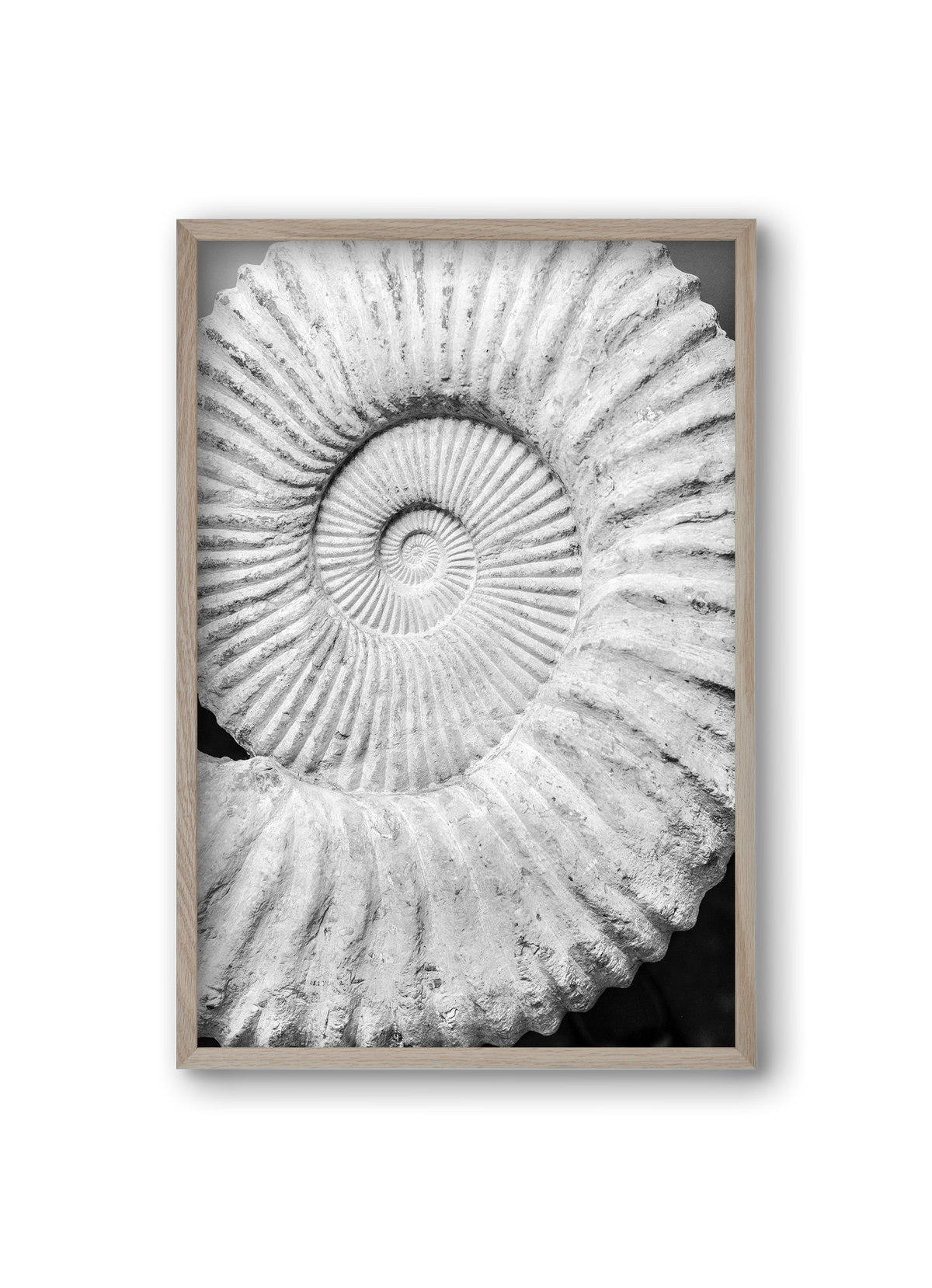 Formula, 20x30 cm (20x30 cm), Tölgy keret