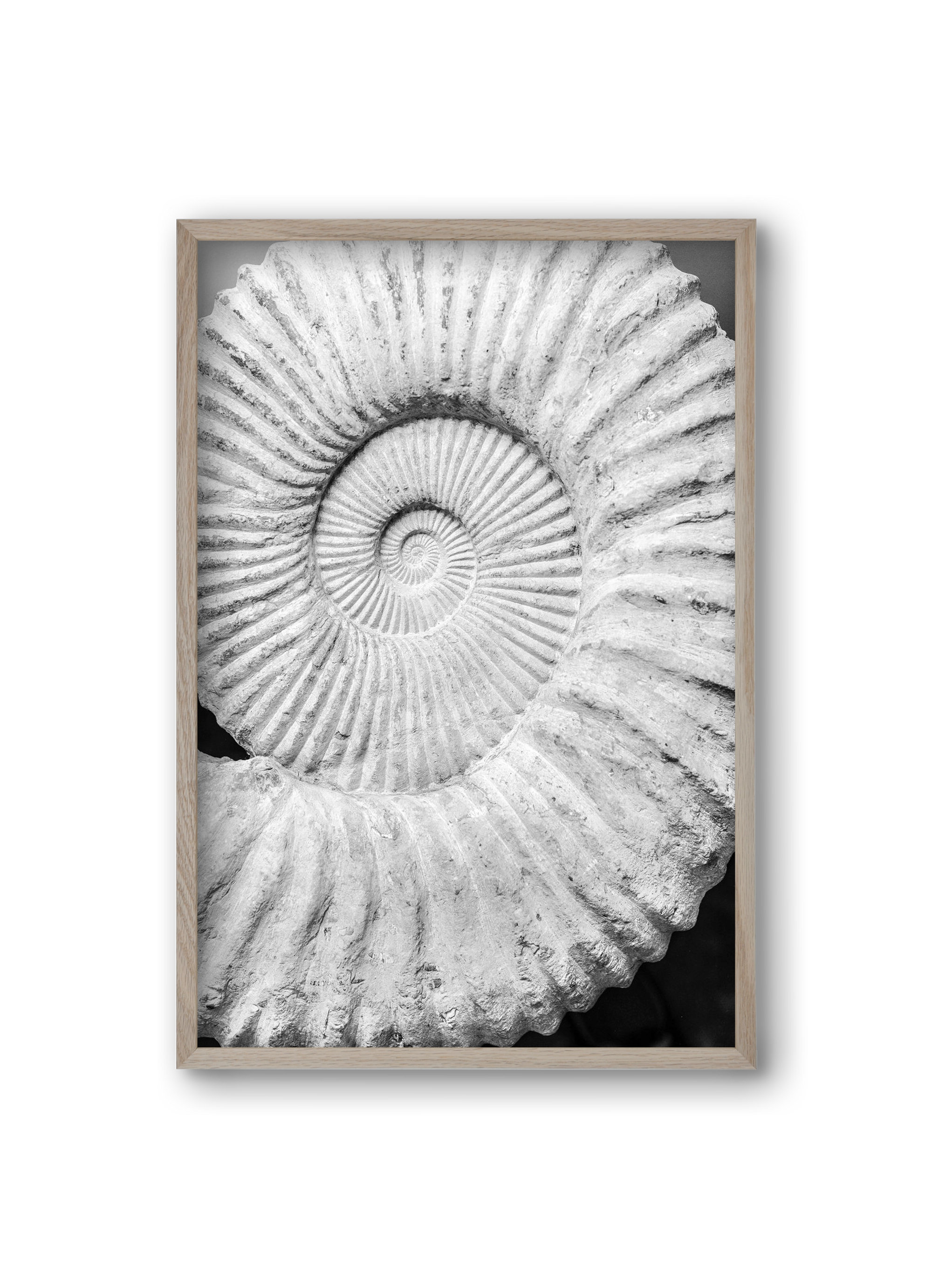 Formula, 20x30 cm (20x30 cm), Tölgy keret