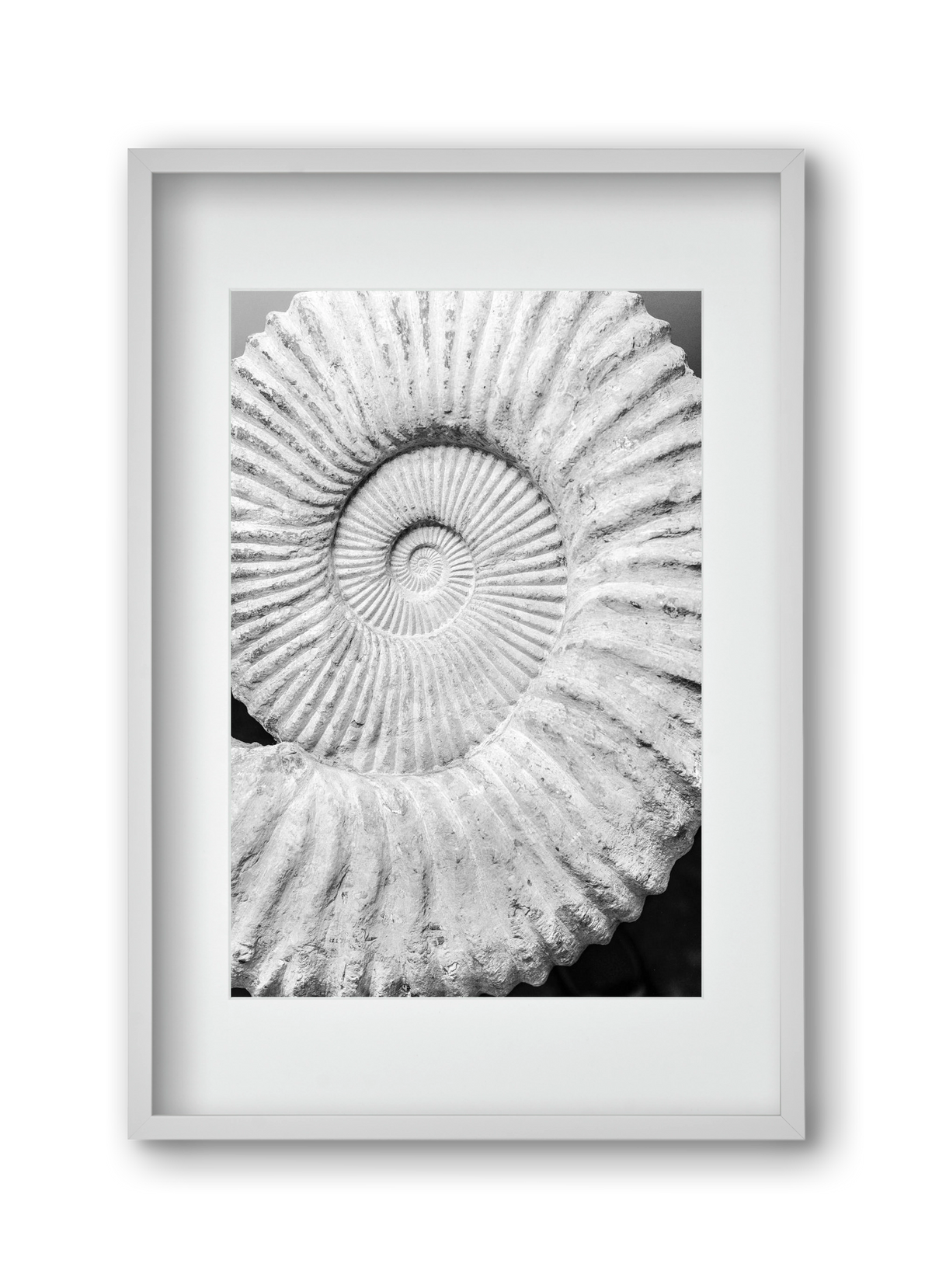 Formula, 30x45 cm (20x30 cm), Fehér keret, paszpartuval