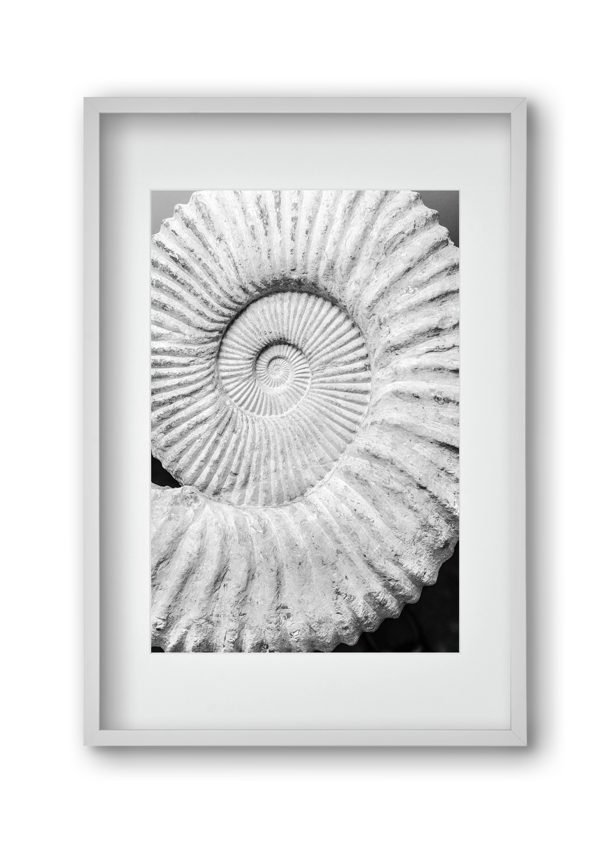 Formula, 30x45 cm (20x30 cm), Fehér keret, paszpartuval