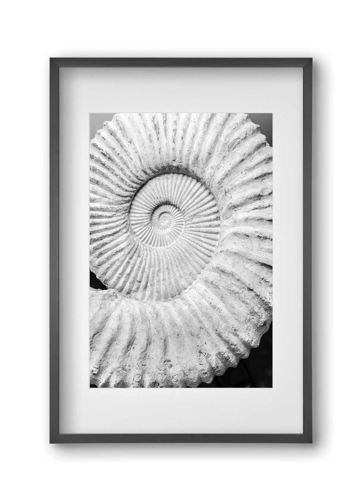 Formula, 30x45 cm (20x30 cm), Fekete keret, paszpartuval