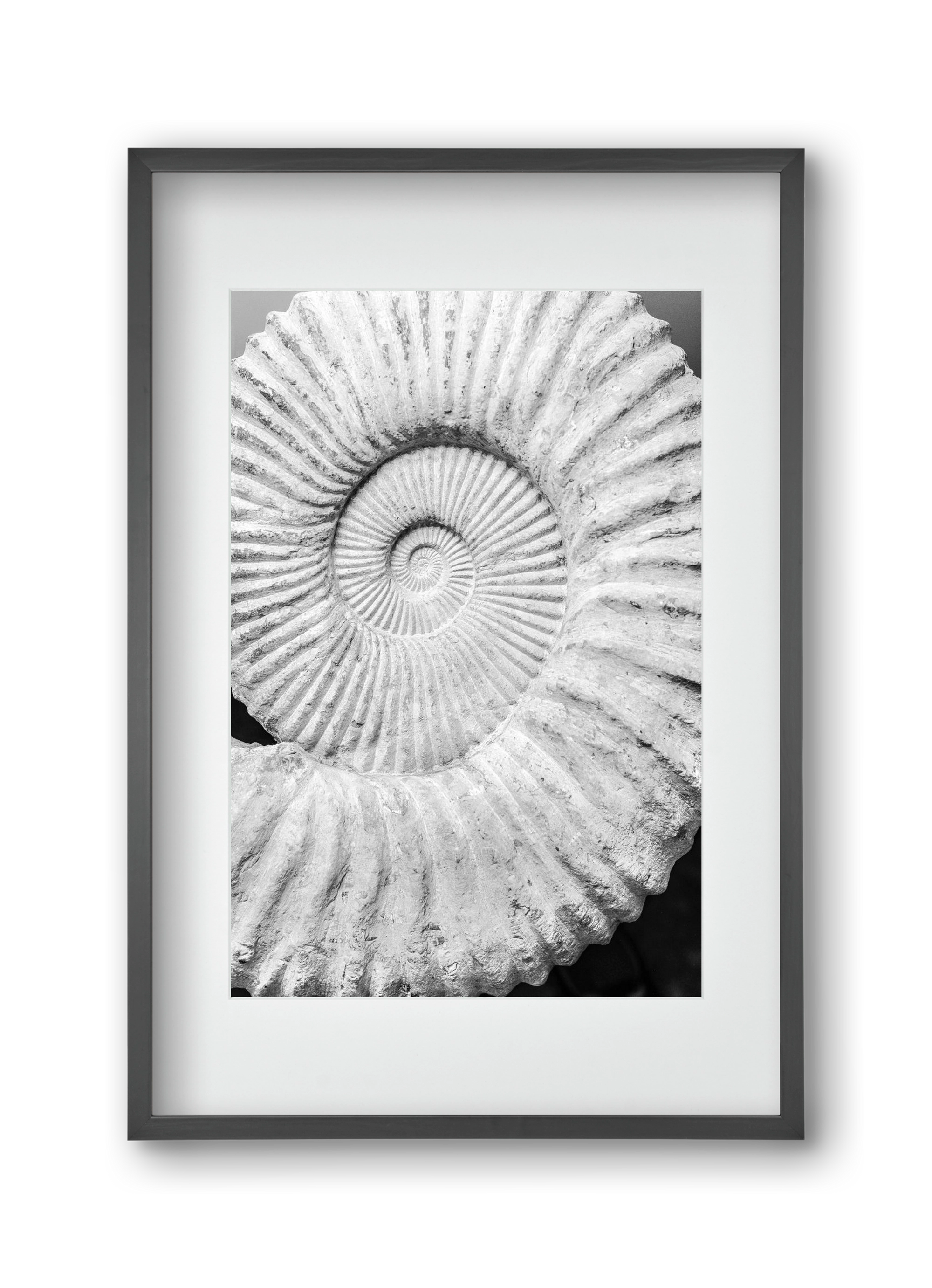 Formula, 30x45 cm (20x30 cm), Fekete keret, paszpartuval