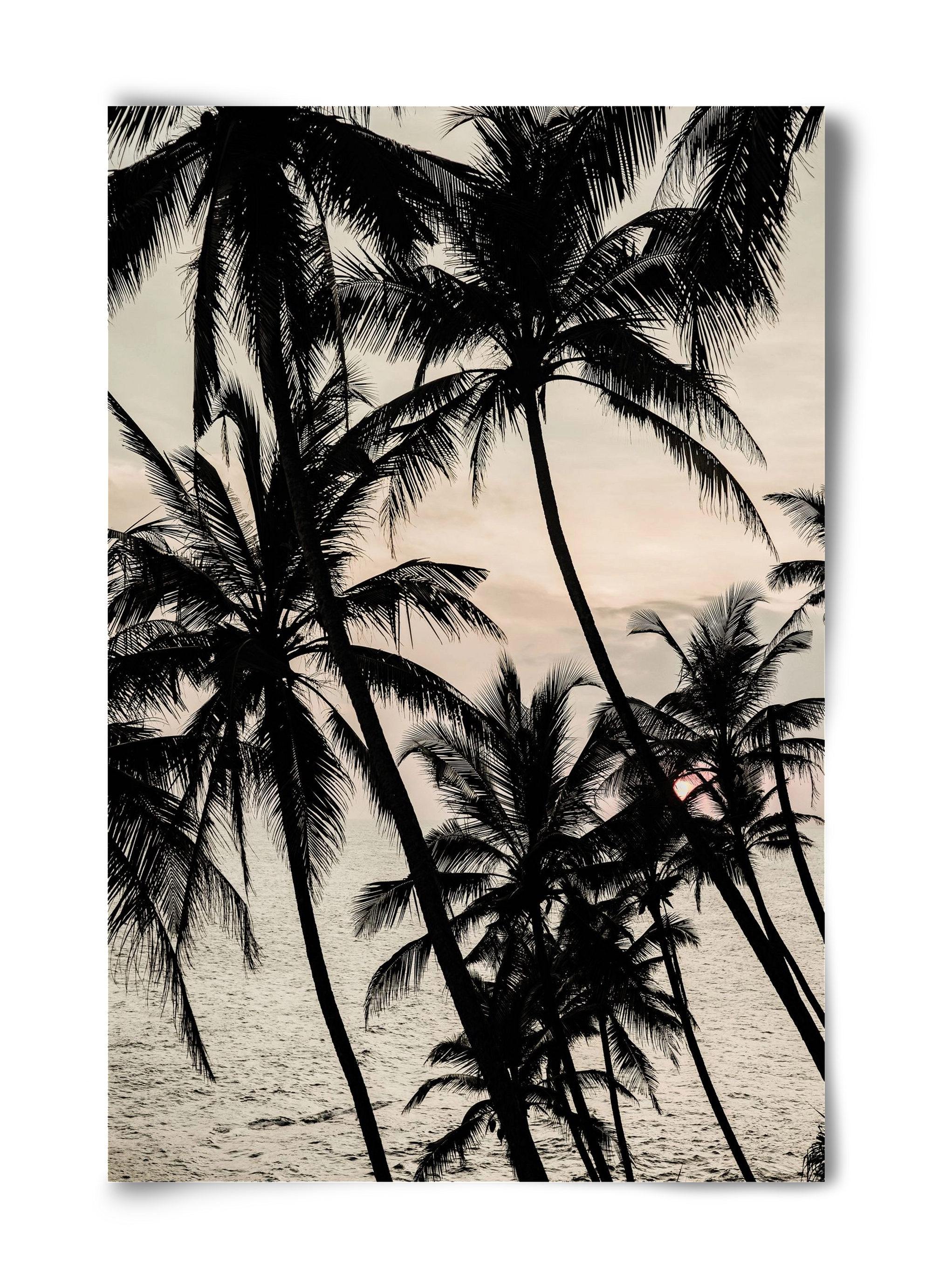 Full dream, 40x60 cm, Keret nélkül