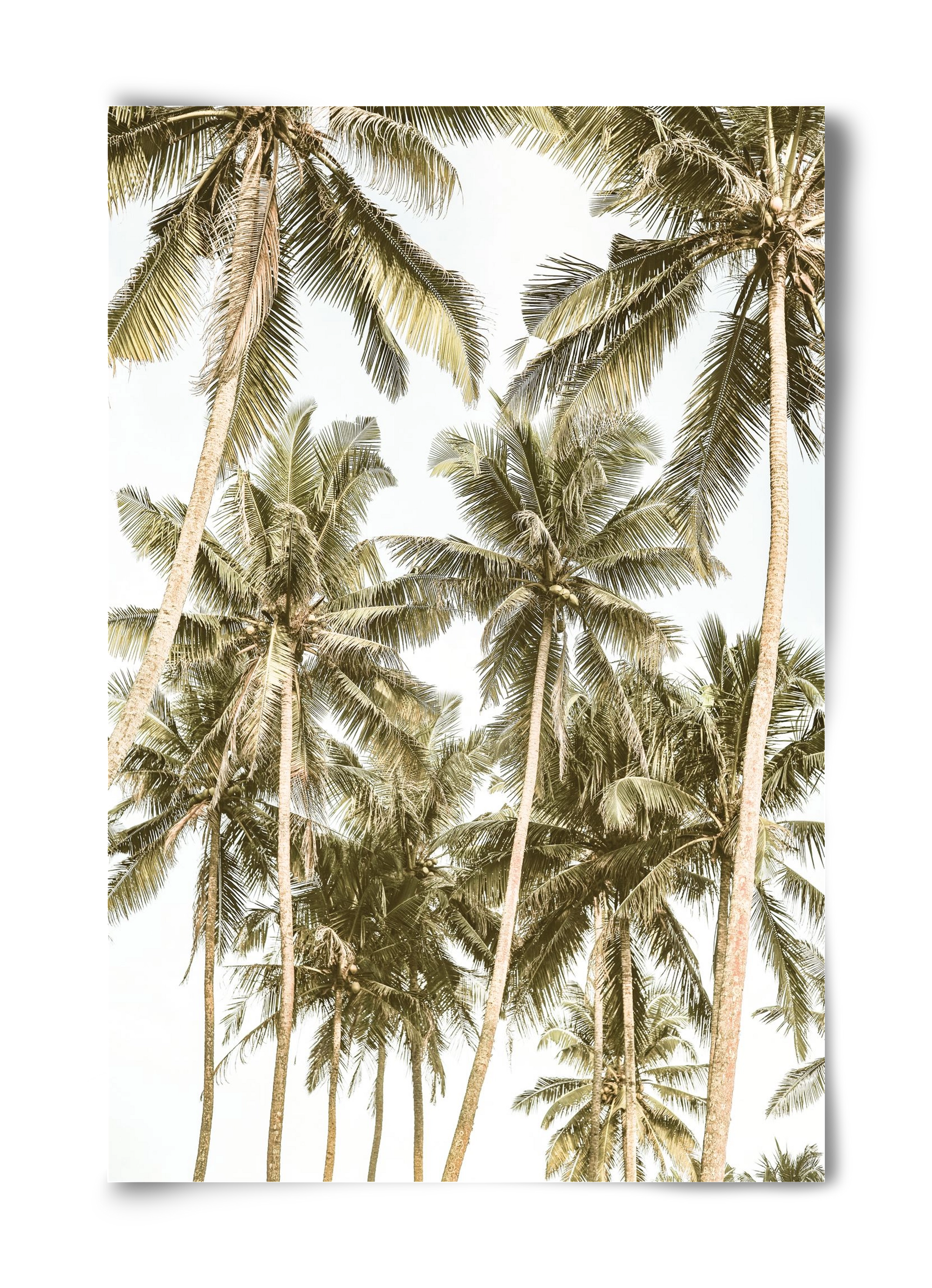 Island bliss, 40x60 cm, Keret nélkül