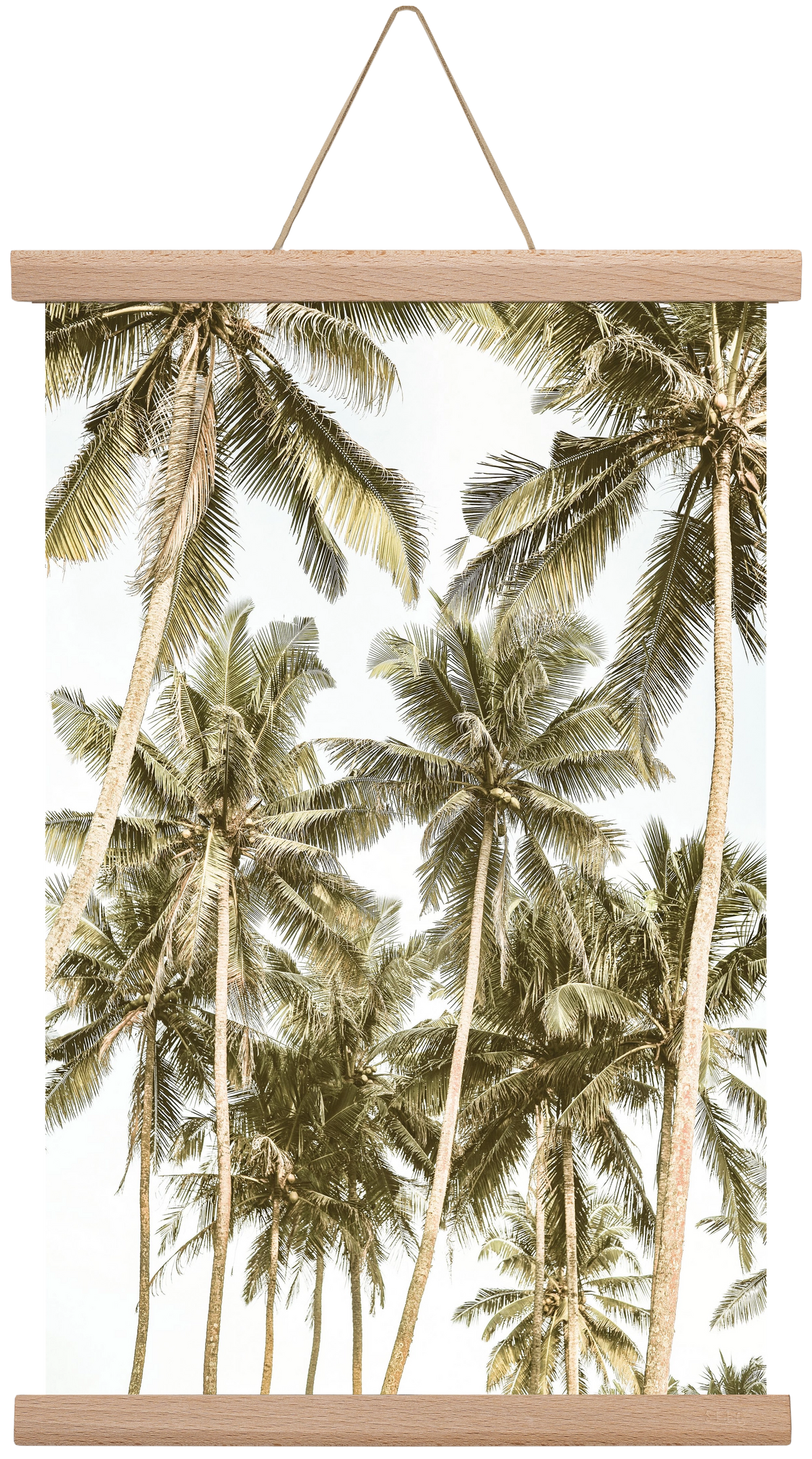 Island bliss, 30x45 cm (30x45 cm), Tölgy akasztó