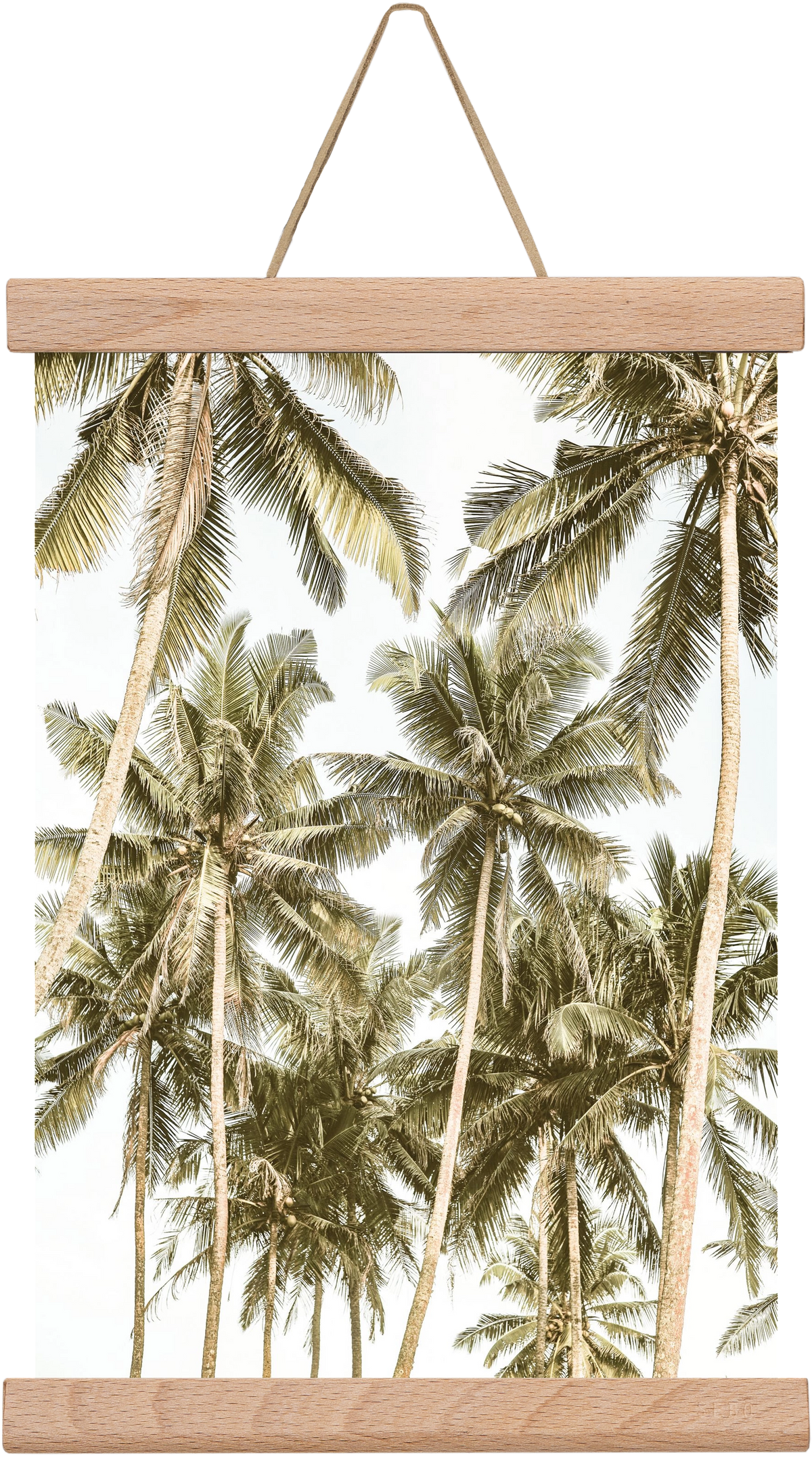 Island bliss, 20x30 cm (20x30 cm), Tölgy akasztó