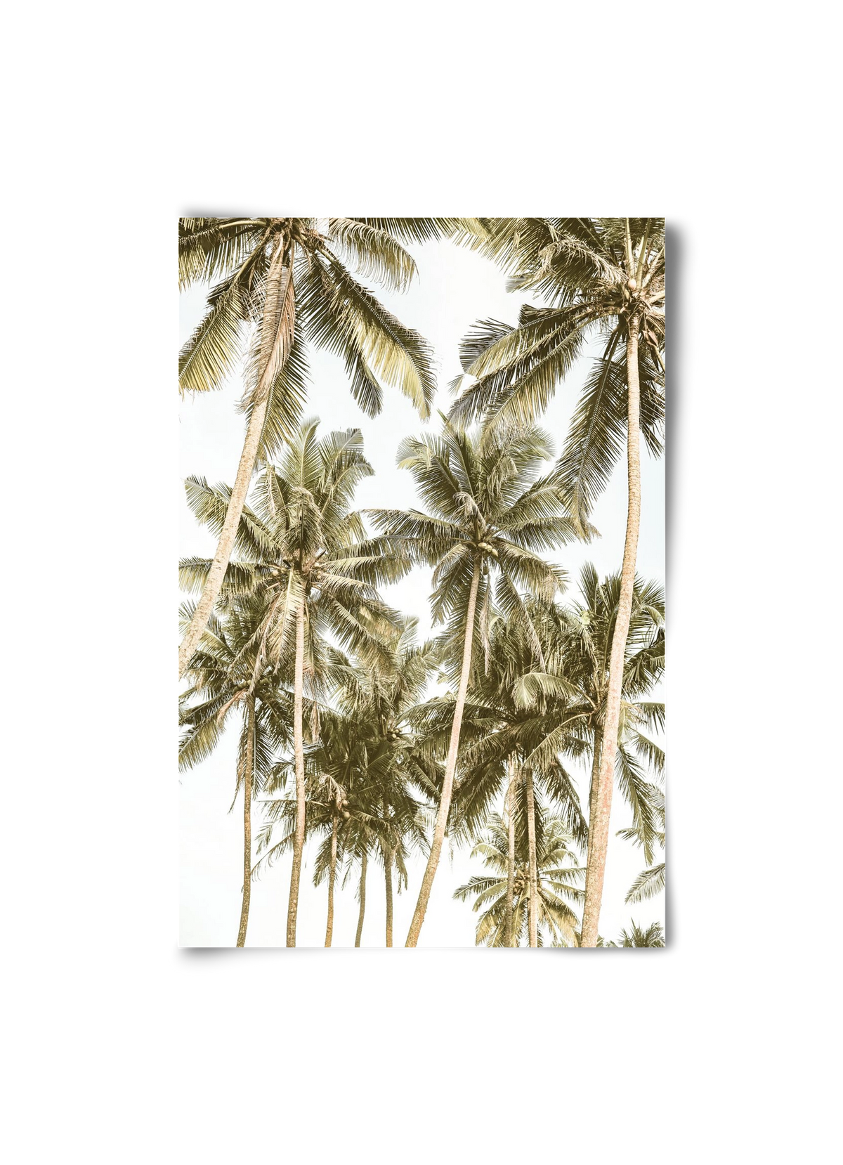 Island bliss, 20x30 cm, Keret nélkül