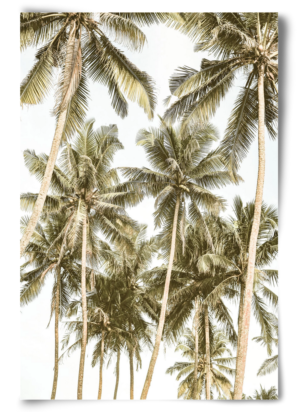 Island bliss, 60x90 cm, Keret nélkül