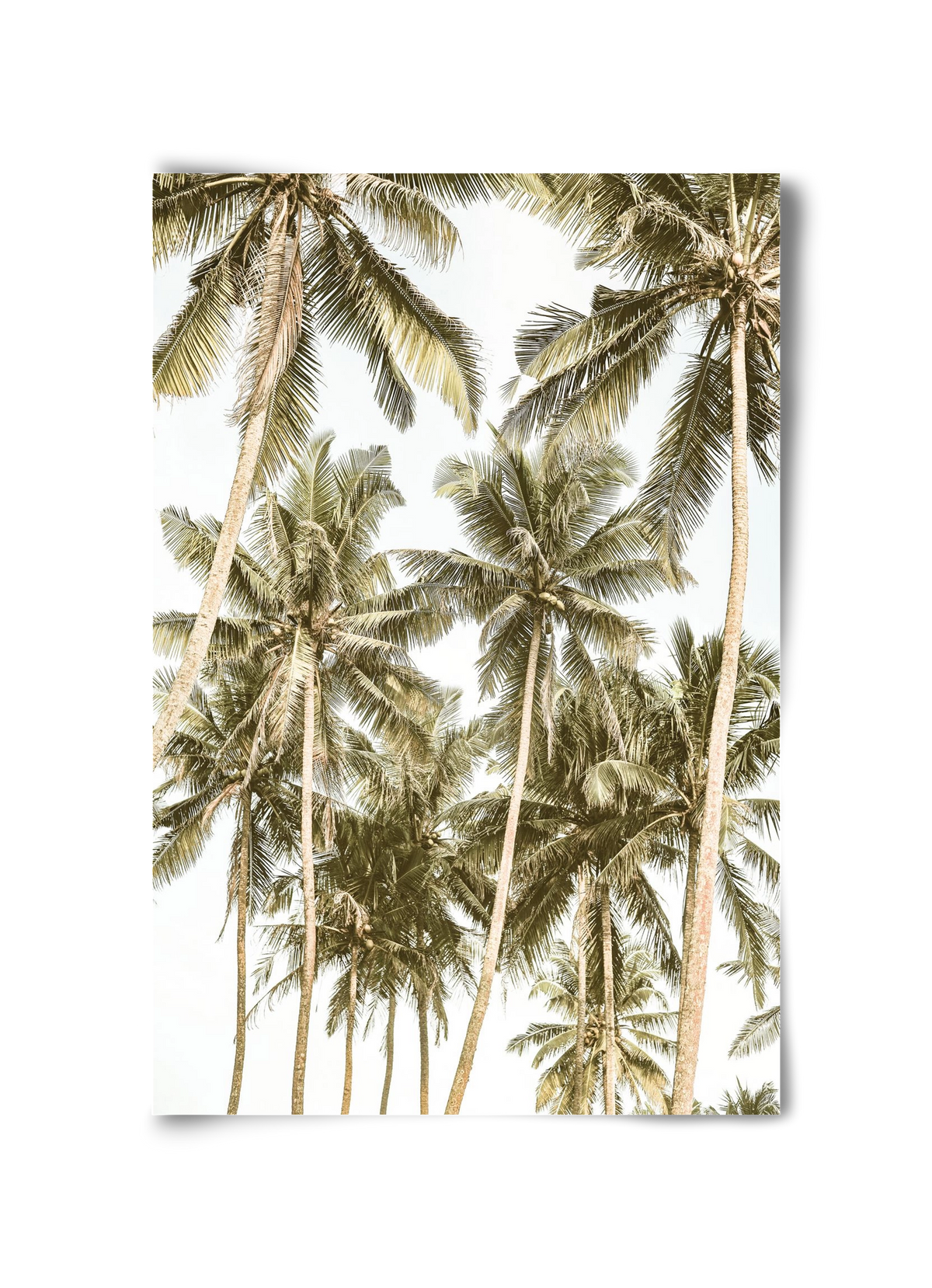 Island bliss, 30x45 cm, Keret nélkül