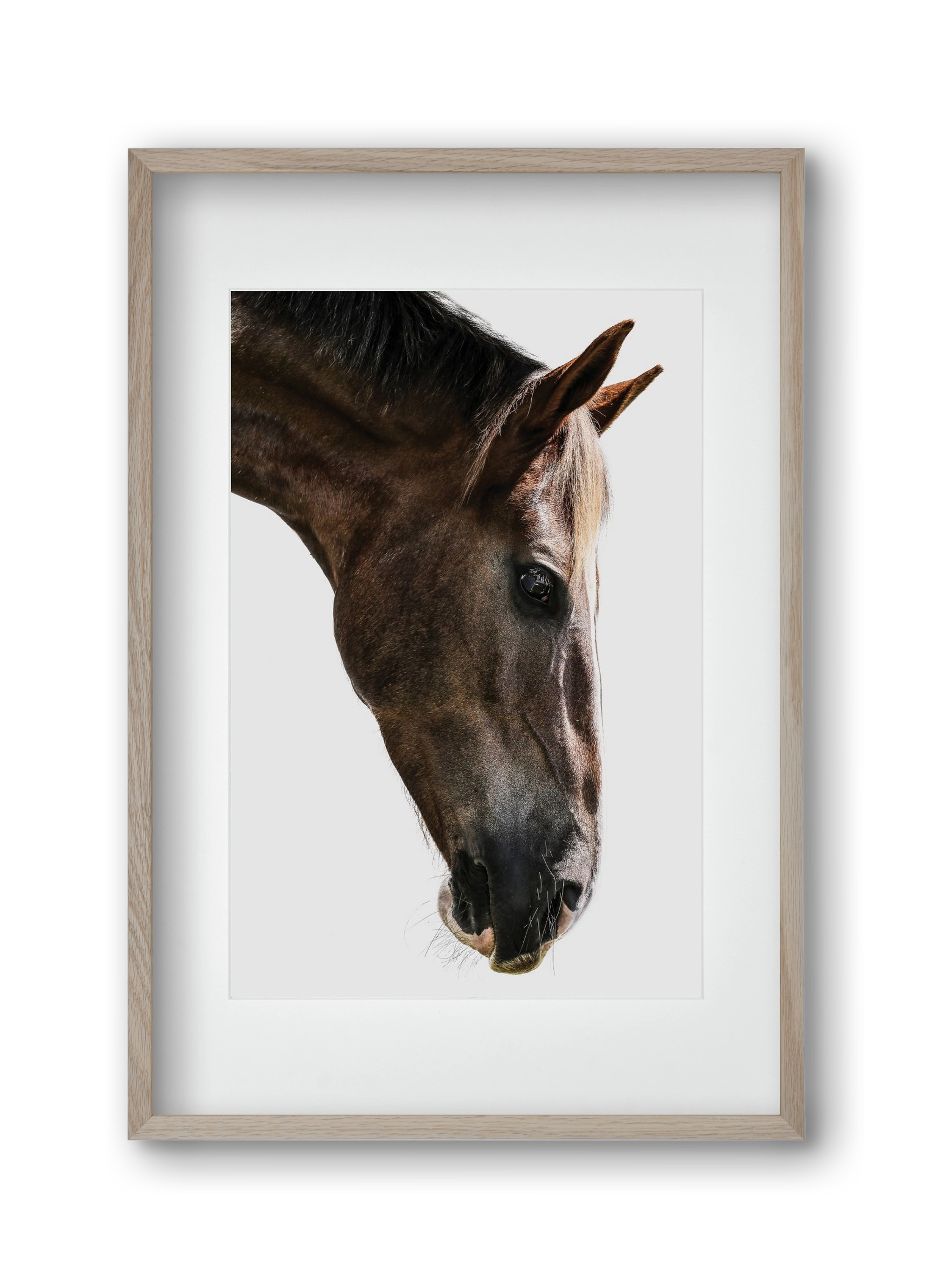 Kalimazoo, 30x45 cm (20x30 cm), Tölgy keret, paszpartuval