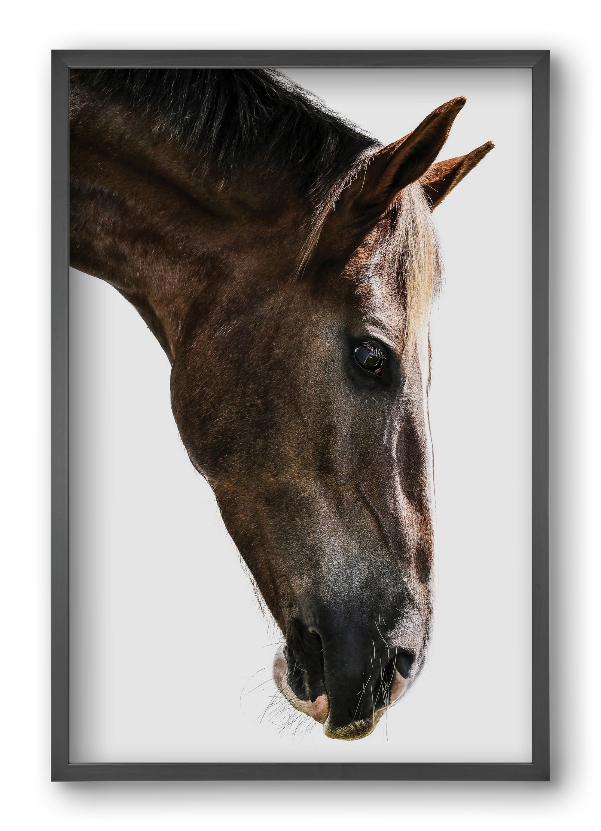 Kalimazoo, 40x60 cm (40x60 cm), Fekete keret