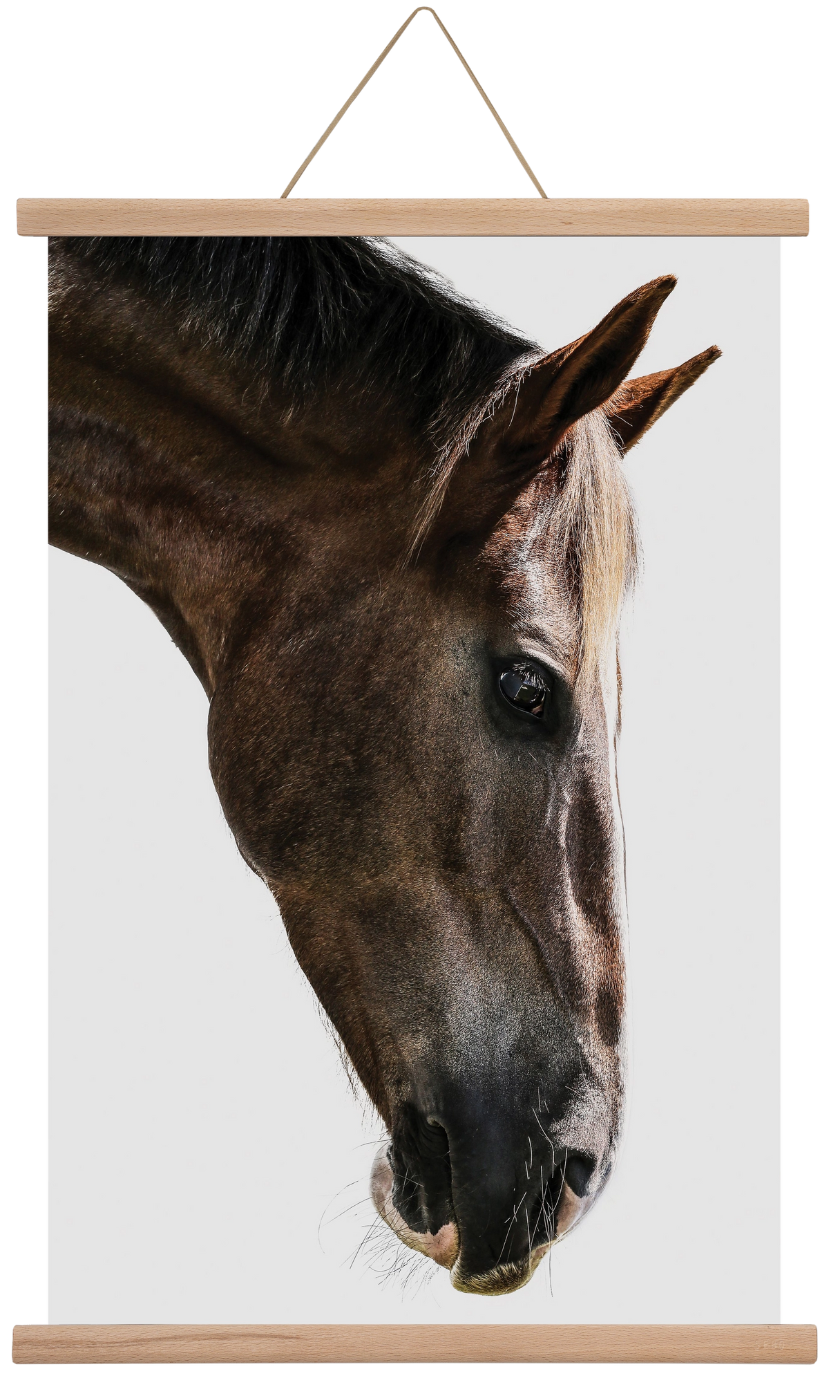 Kalimazoo, 40x60 cm (40x60 cm), Tölgy akasztó