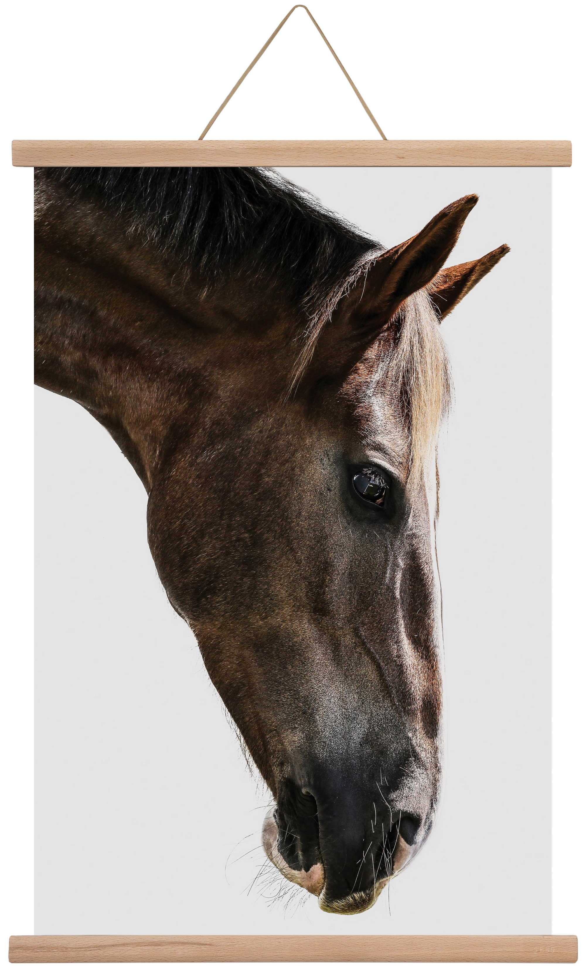 Kalimazoo, 40x60 cm (40x60 cm), Tölgy akasztó