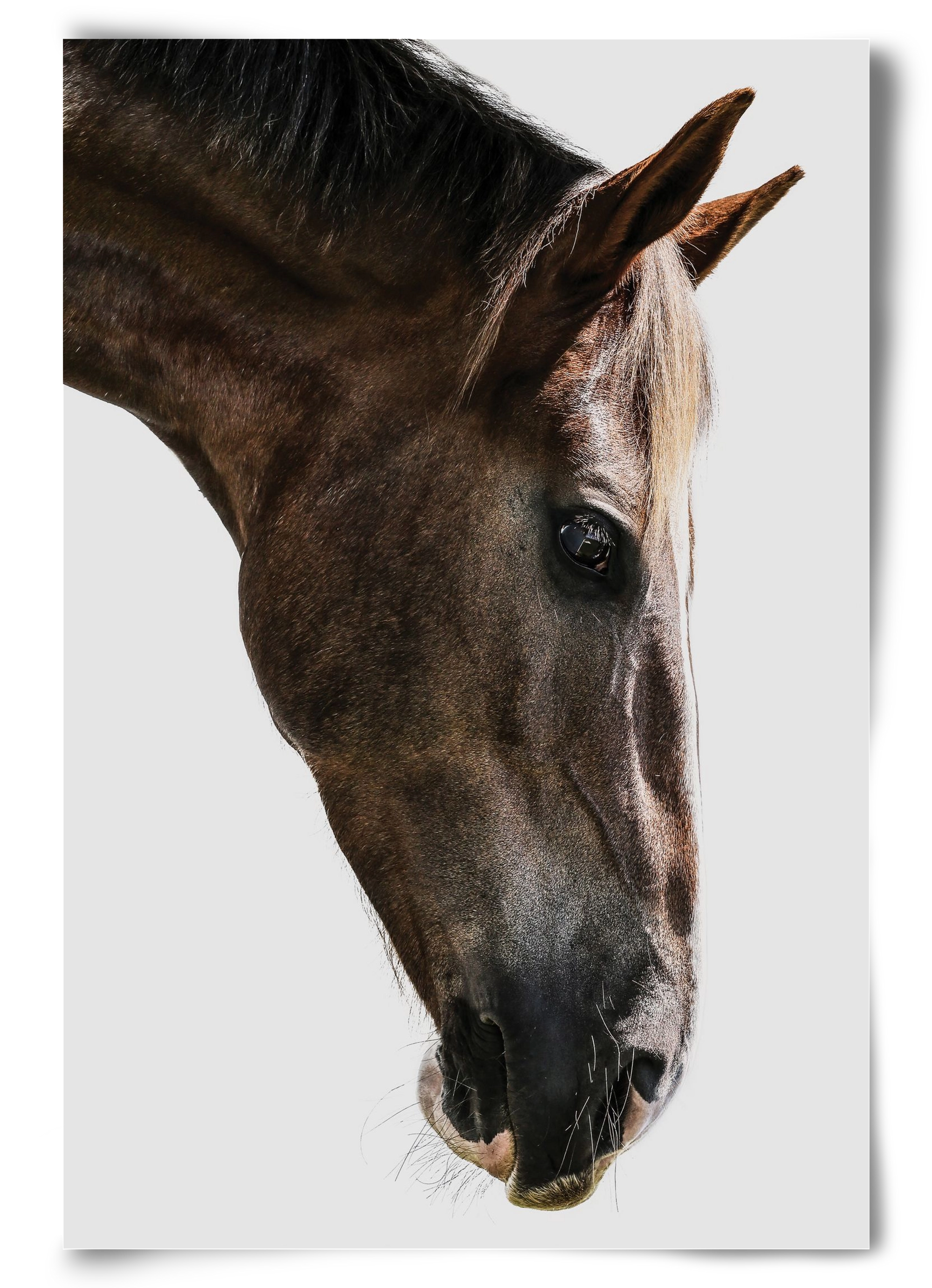 Kalimazoo, 60x90 cm, Keret nélkül