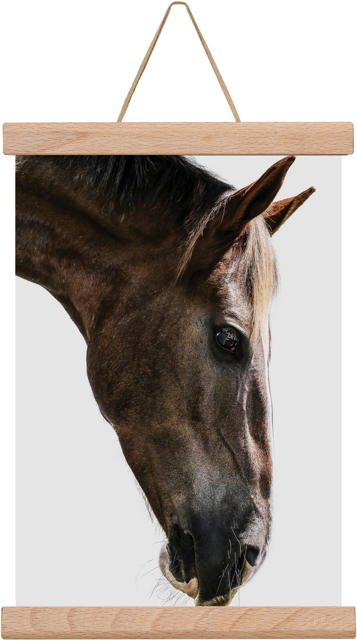 Kalimazoo, 20x30 cm (20x30 cm), Tölgy akasztó