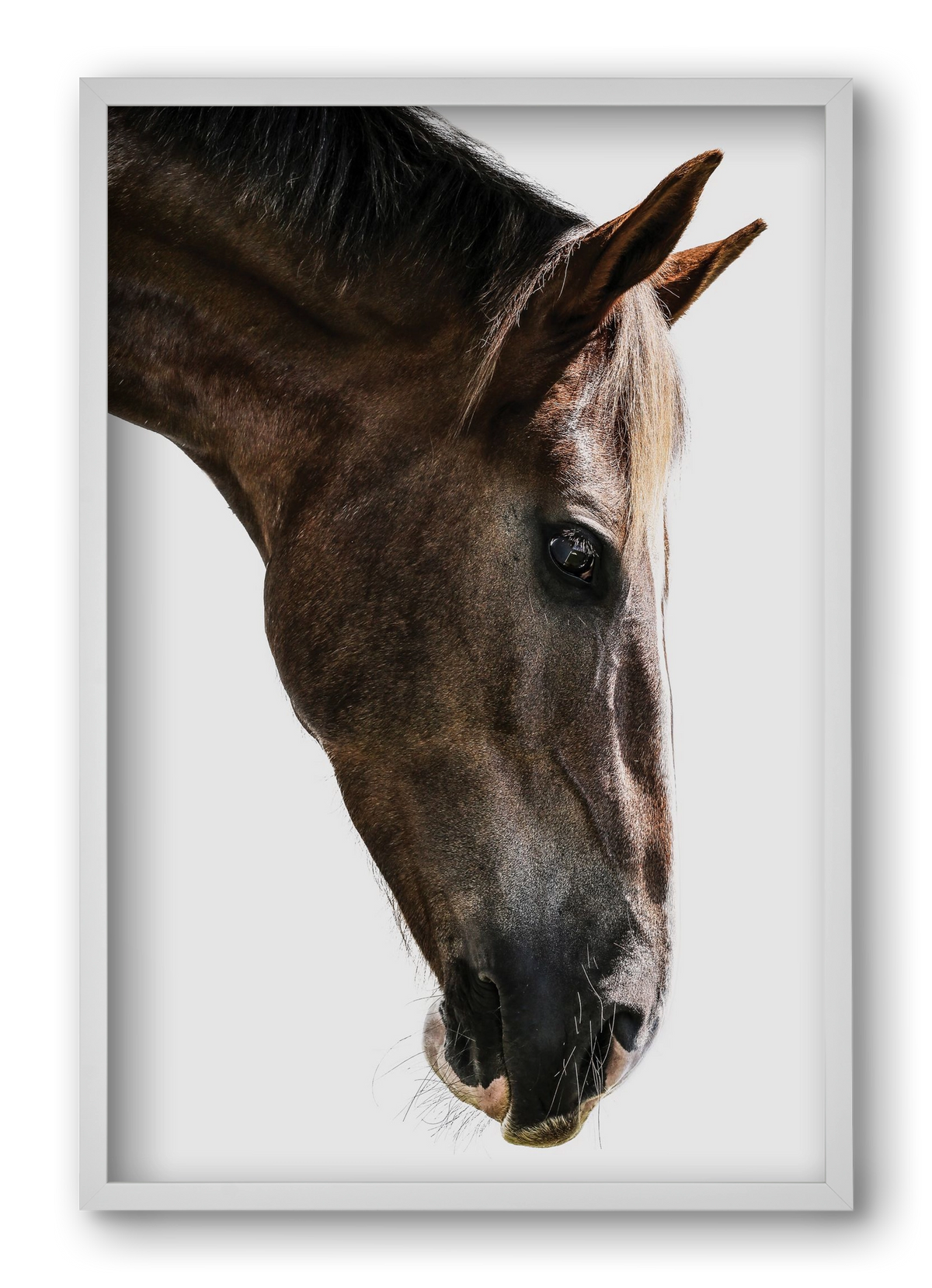 Kalimazoo, 40x60 cm (40x60 cm), Fehér keret