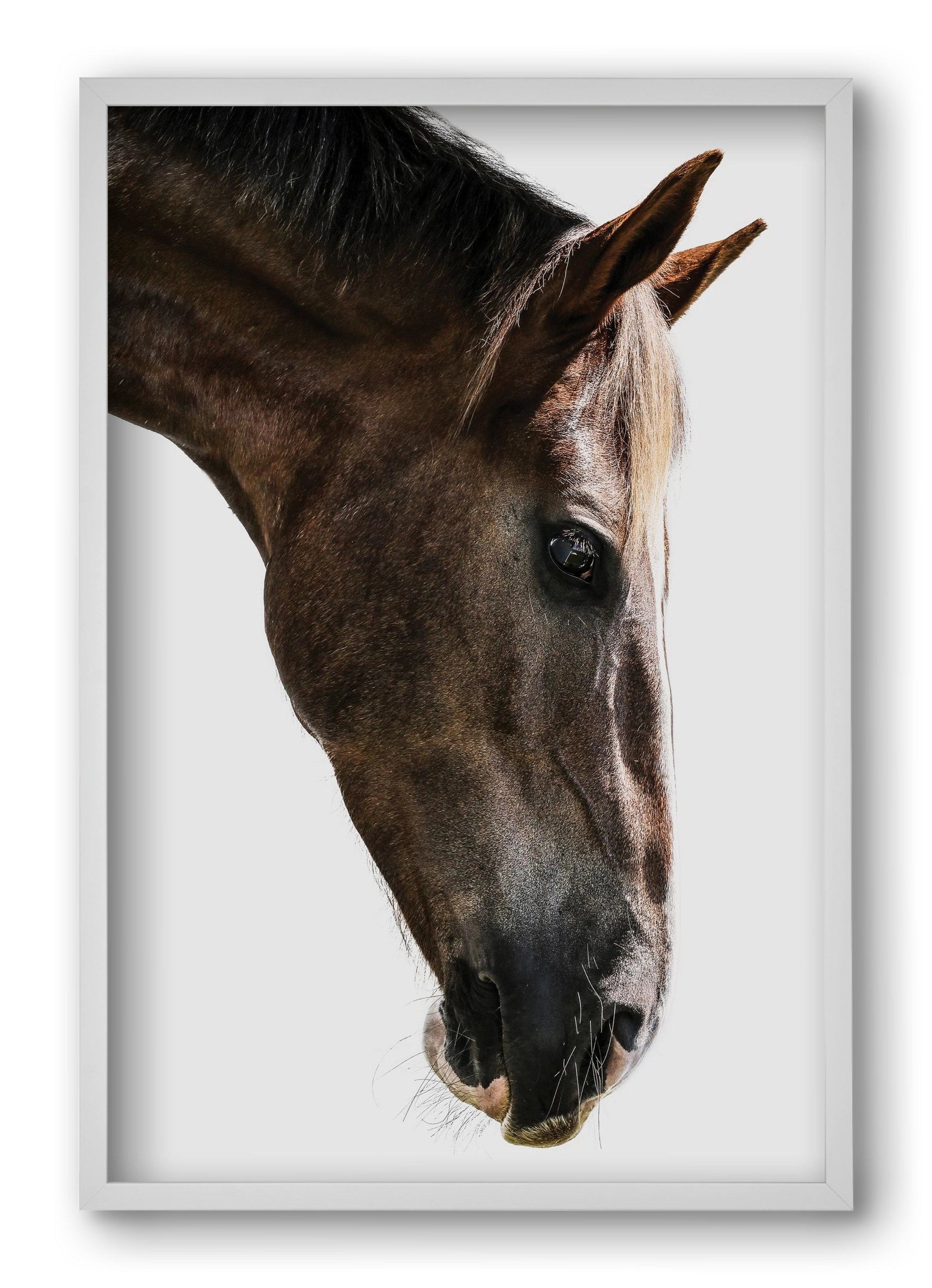 Kalimazoo, 40x60 cm (40x60 cm), Fehér keret