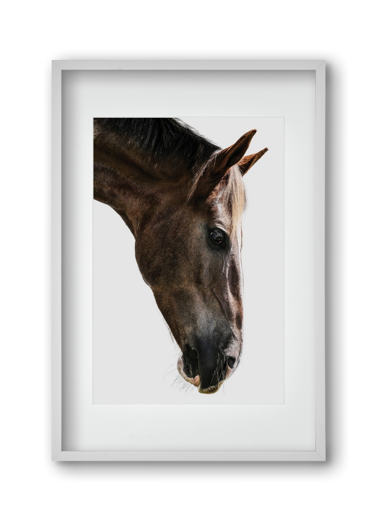 Kalimazoo, 30x45 cm (20x30 cm), Fehér keret, paszpartuval