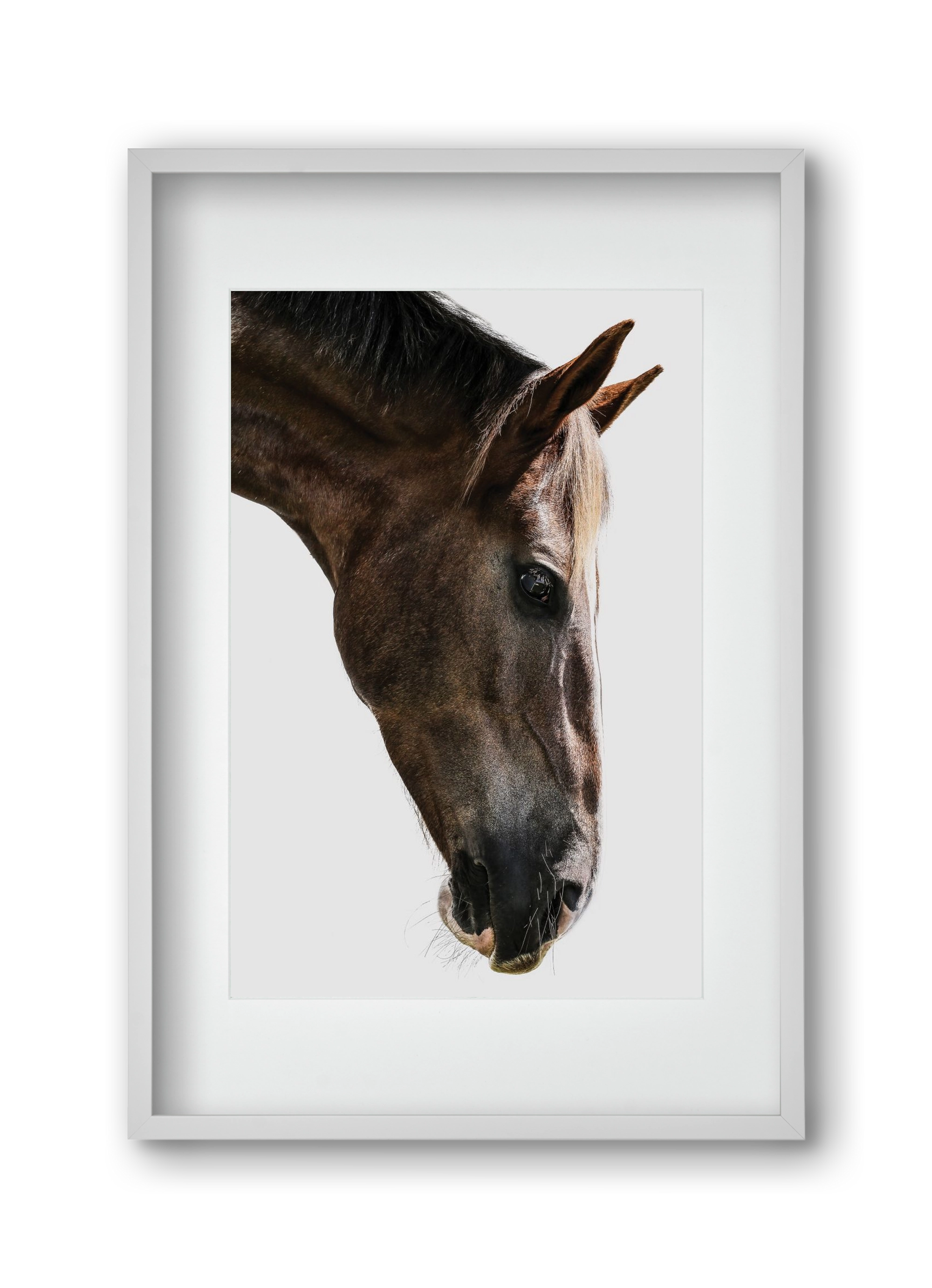 Kalimazoo, 30x45 cm (20x30 cm), Fehér keret, paszpartuval