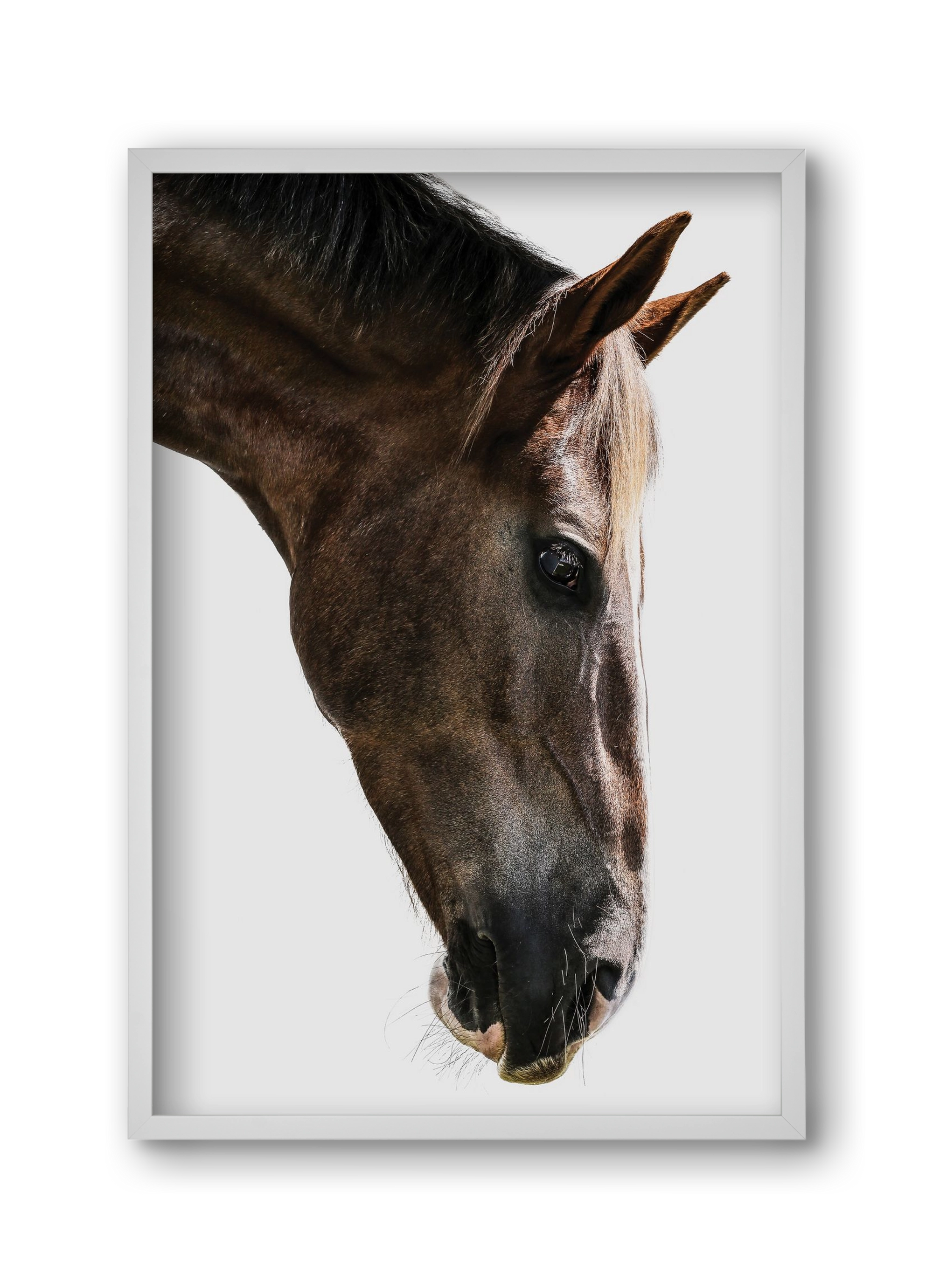 Kalimazoo, 30x45 cm (30x45 cm), Fehér keret