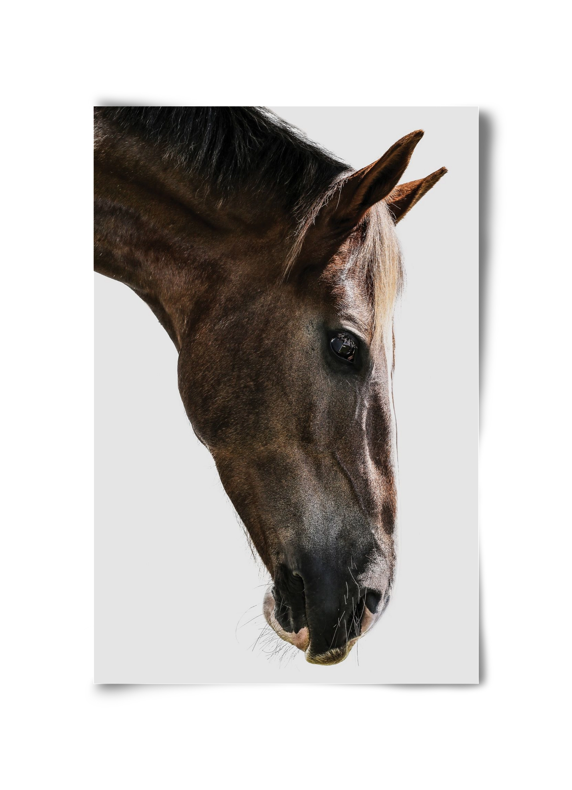 Kalimazoo, 30x45 cm, Keret nélkül