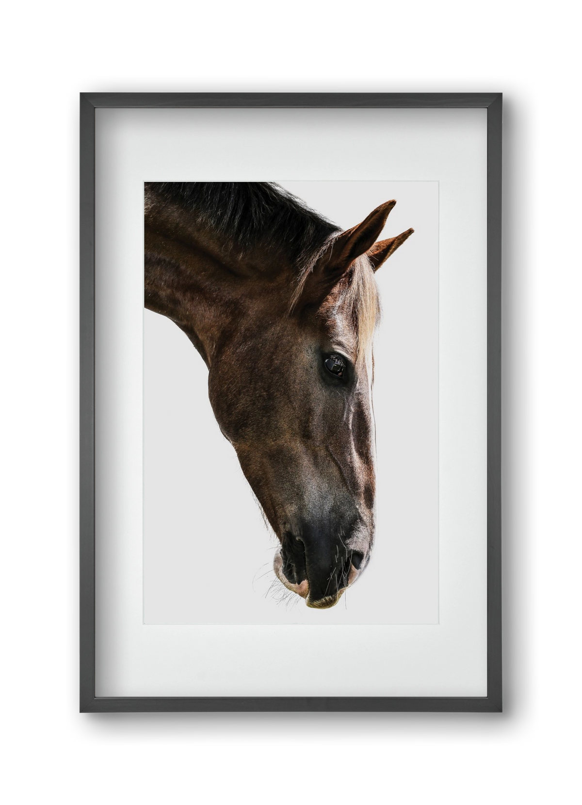 Kalimazoo, 30x45 cm (20x30 cm), Fekete keret, paszpartuval