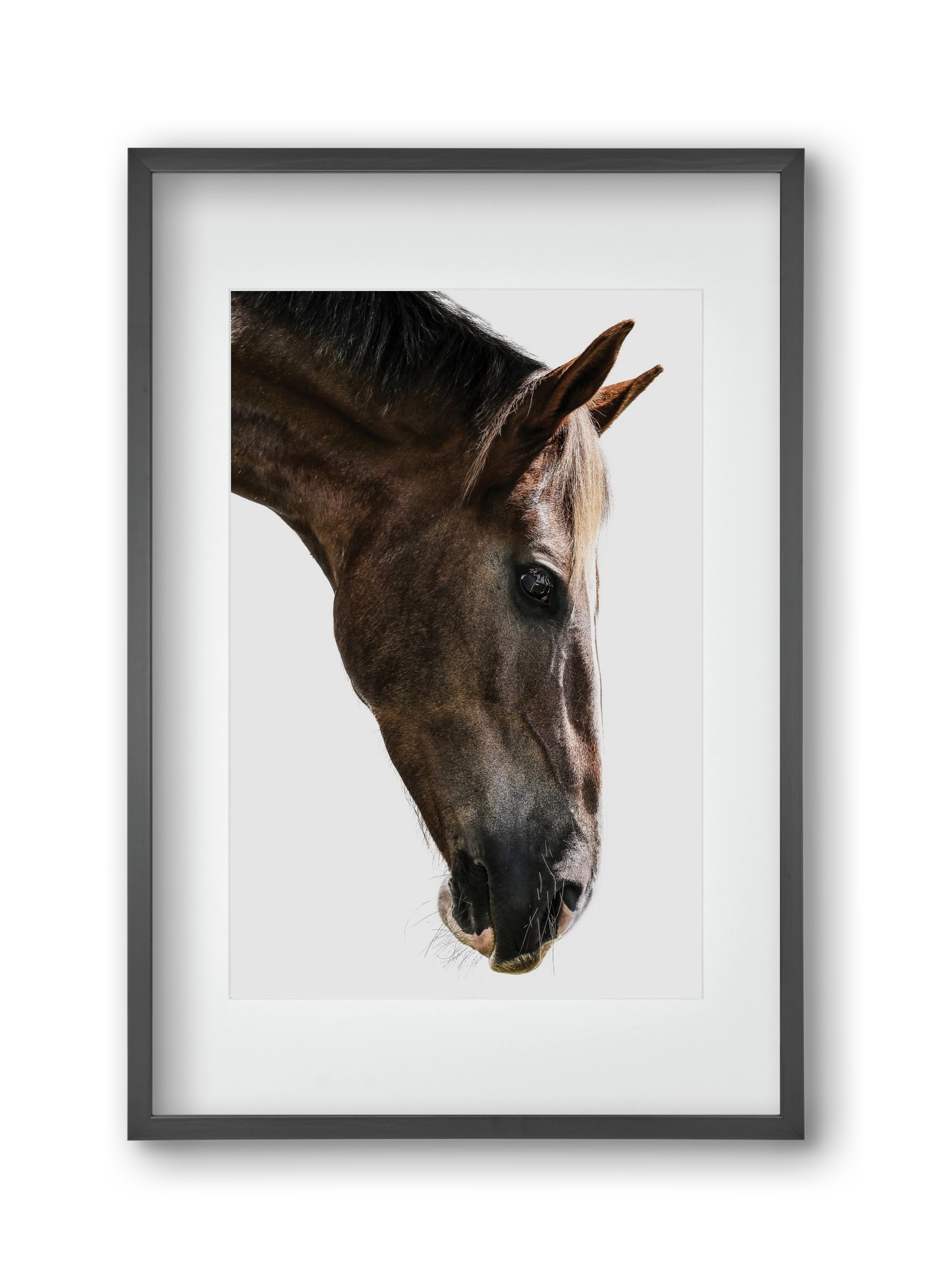 Kalimazoo, 30x45 cm (20x30 cm), Fekete keret, paszpartuval